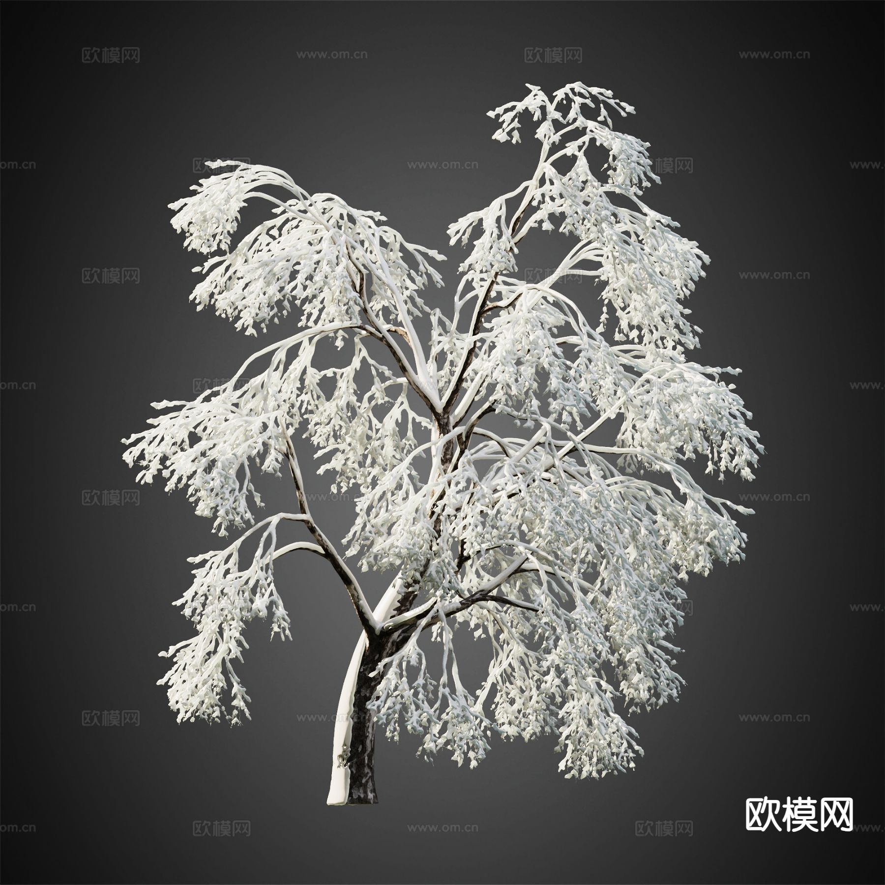 积雪树木 冬季树木 景观树3d模型