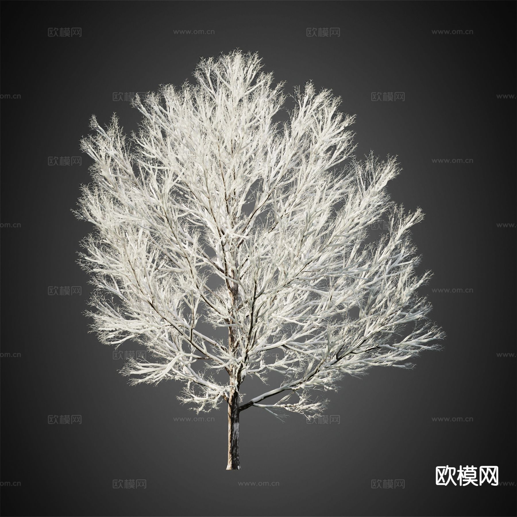 积雪树木 冬季树木 景观树3d模型