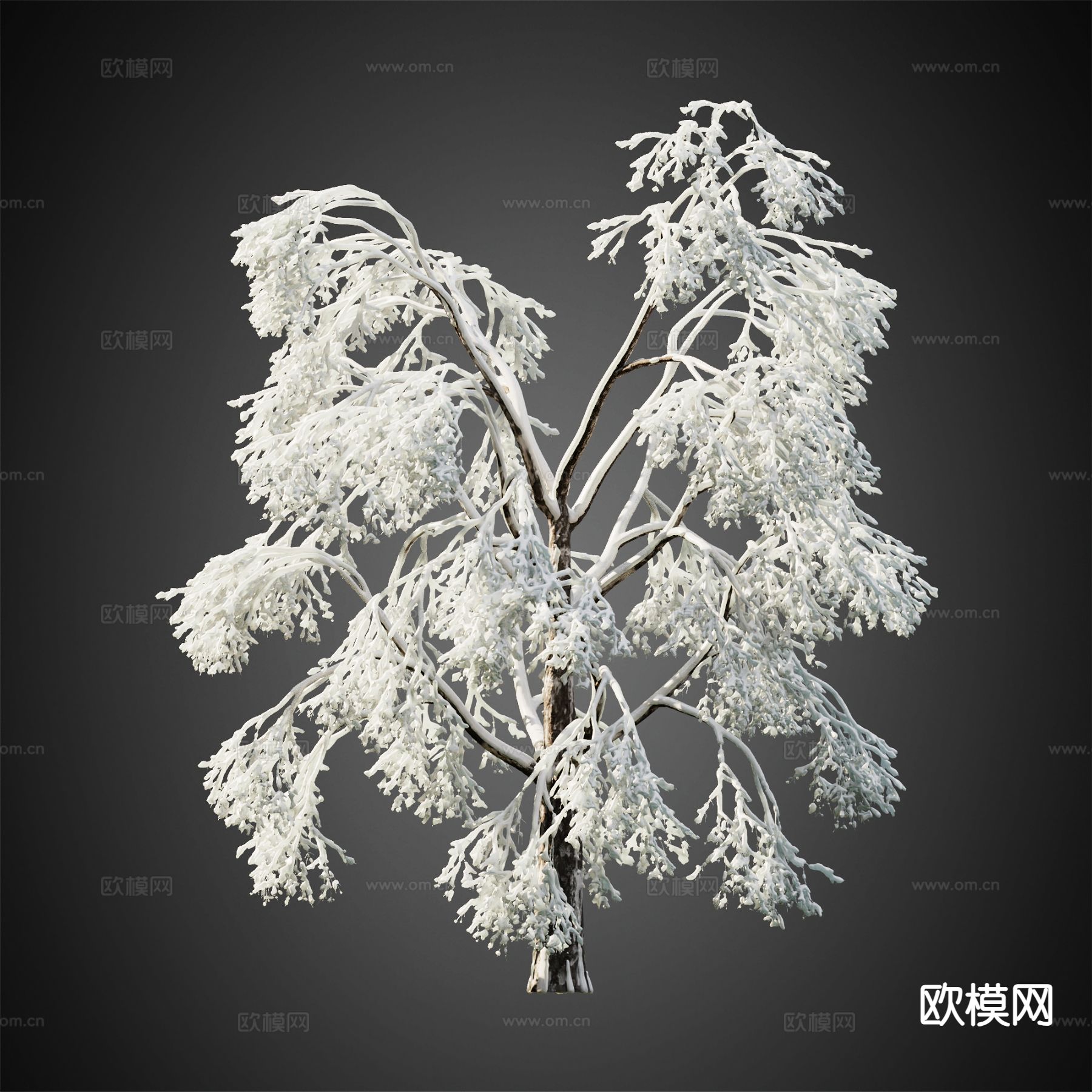 积雪树木 冬季树木 景观树3d模型