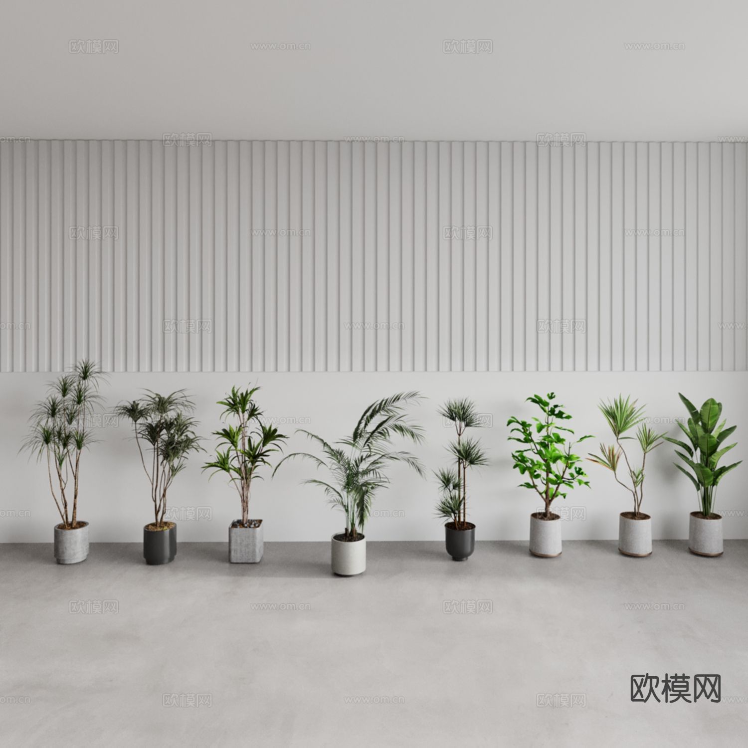 绿植盆栽 造型绿植 圆盆绿植 尖叶绿植 圆叶绿植免费3d模型