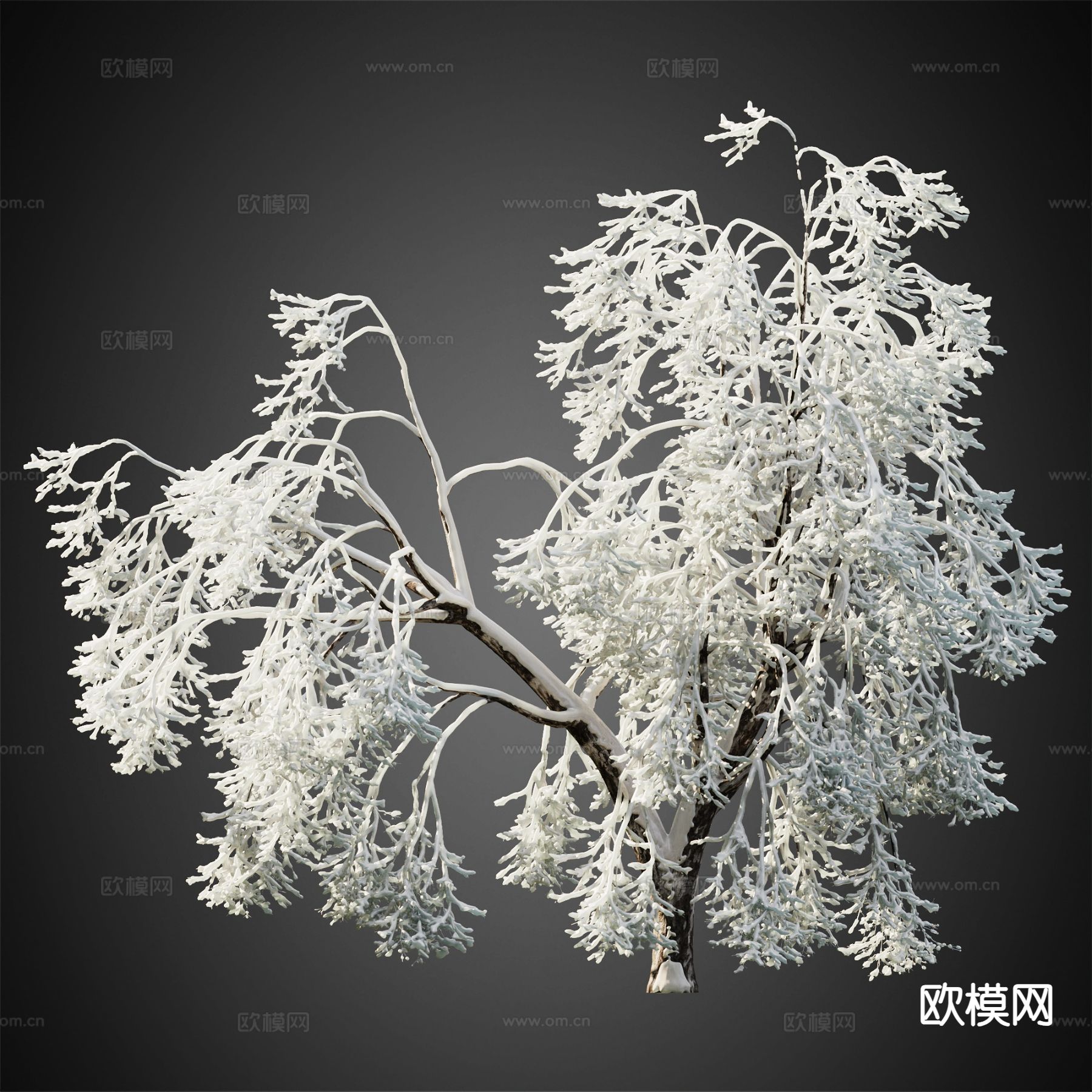 积雪树木 冬季树木 景观树3d模型