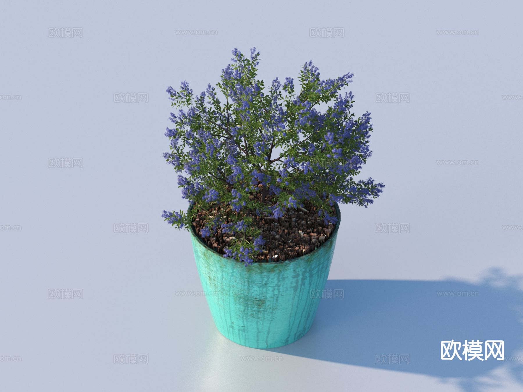 花盆 盆栽3d模型