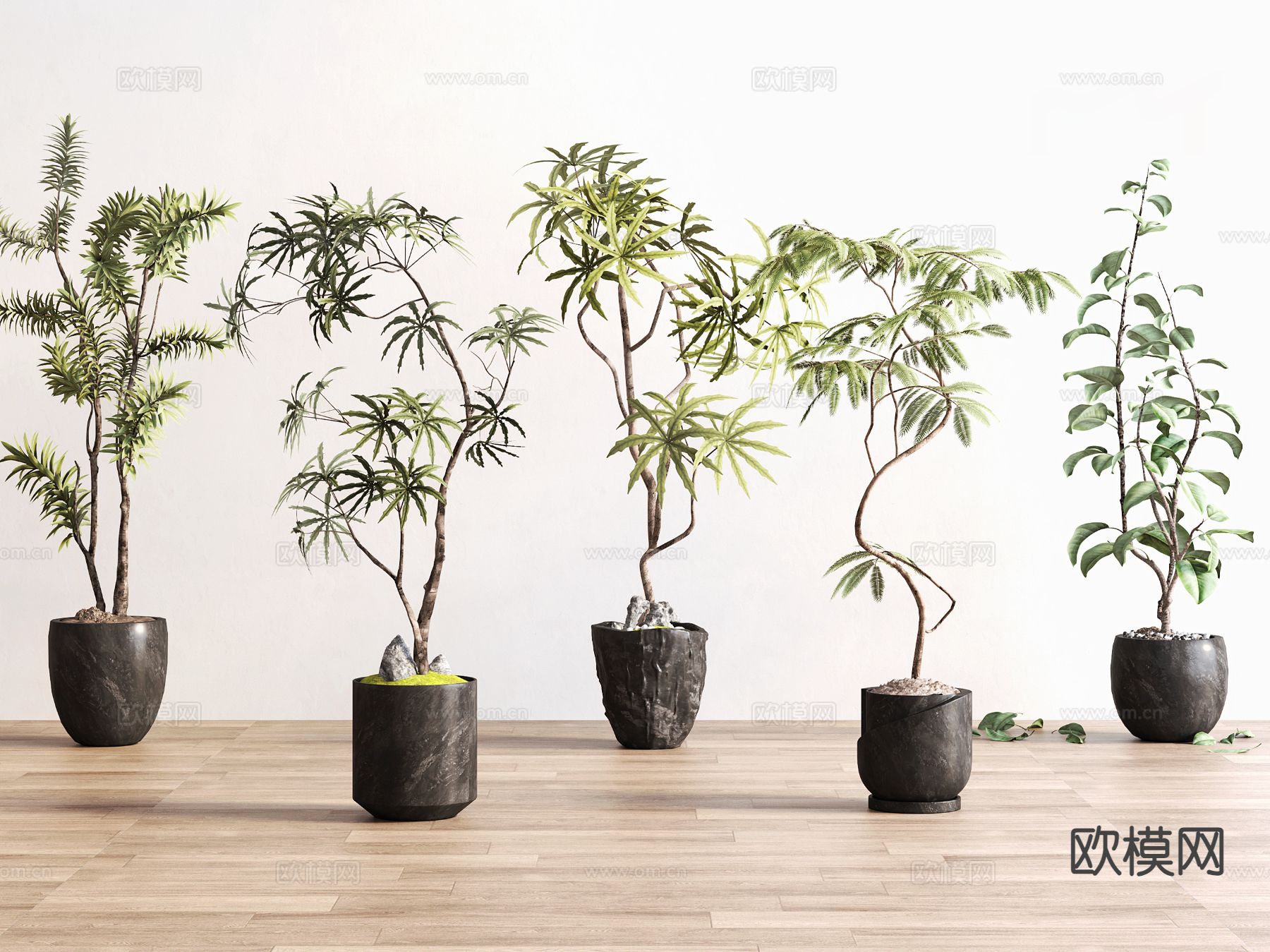 室内植物 绿植盆栽3d模型