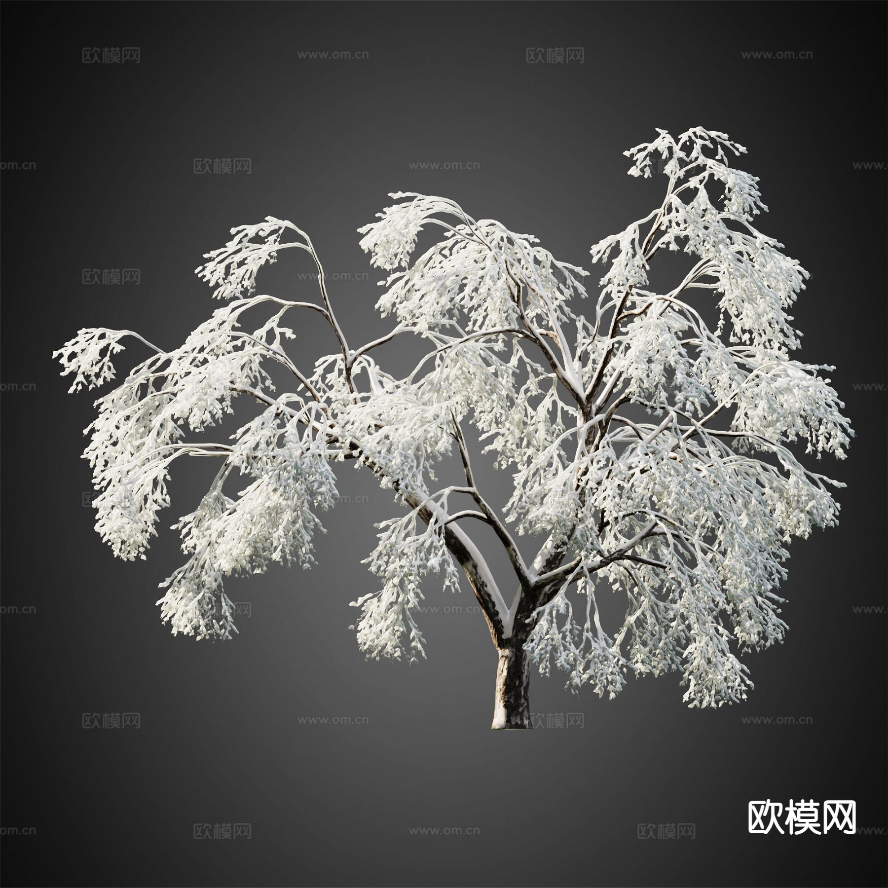 积雪树木 冬季树木 景观树3d模型