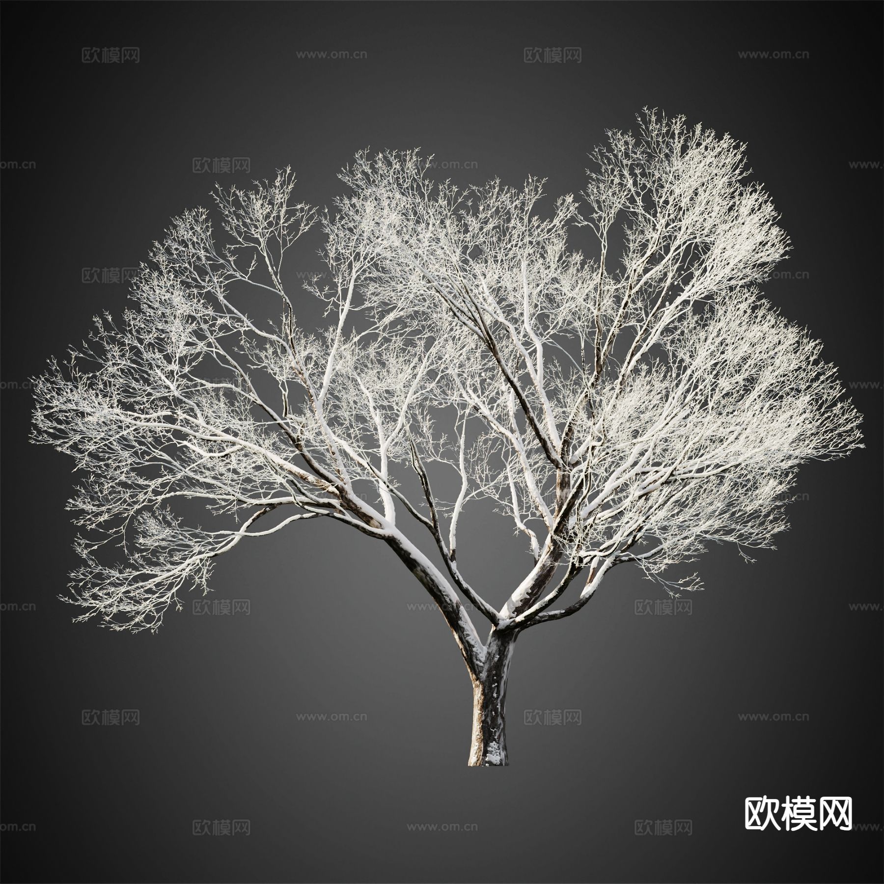 积雪树木 冬季树木 景观树3d模型