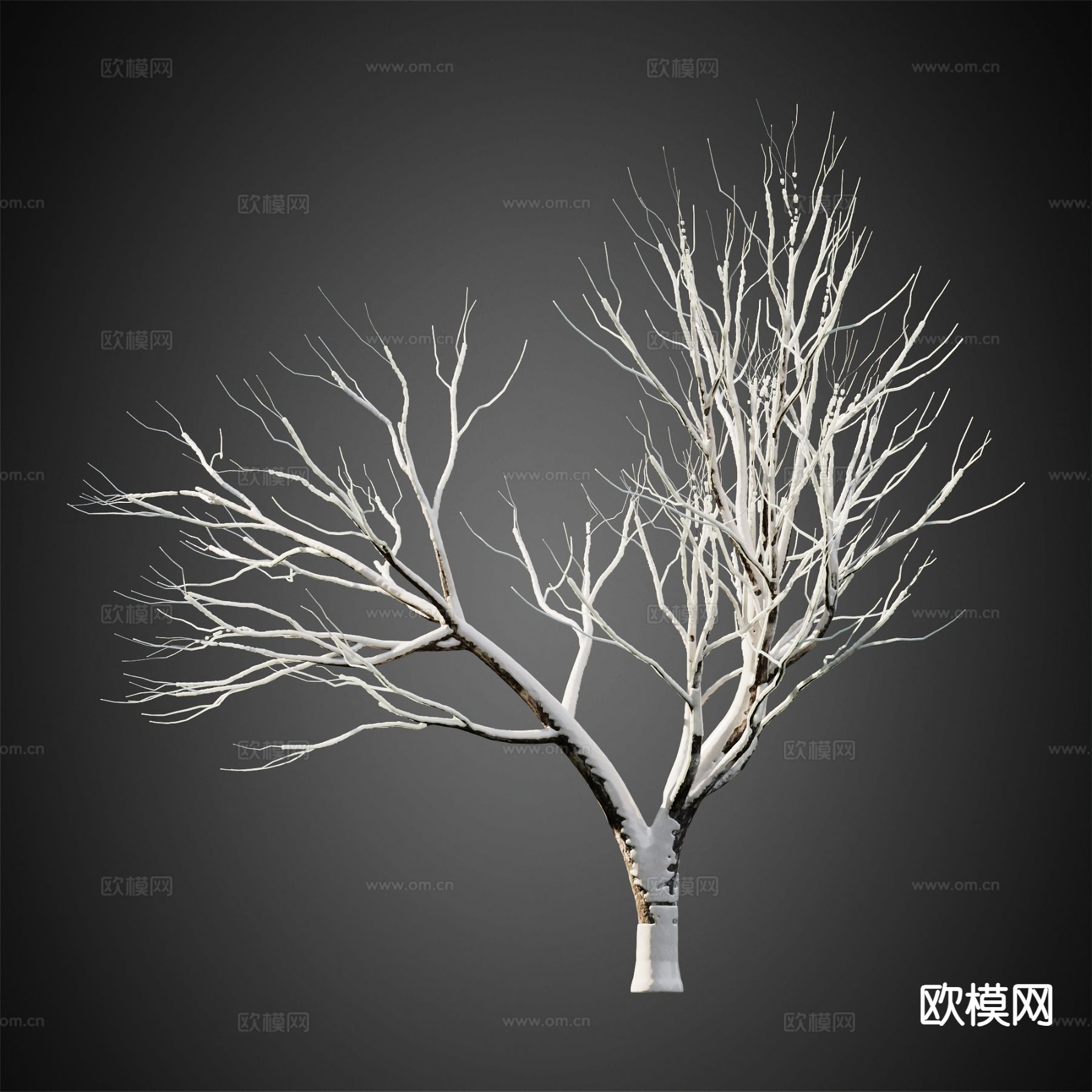 积雪树木 冬季树木 景观树3d模型