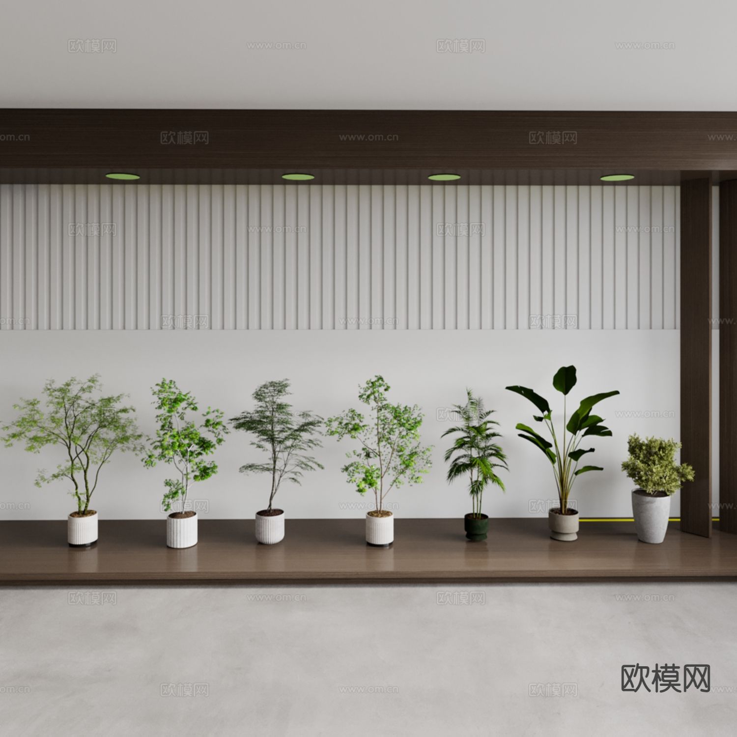 盆栽 盆景 绿植 常青绿植3d模型下载