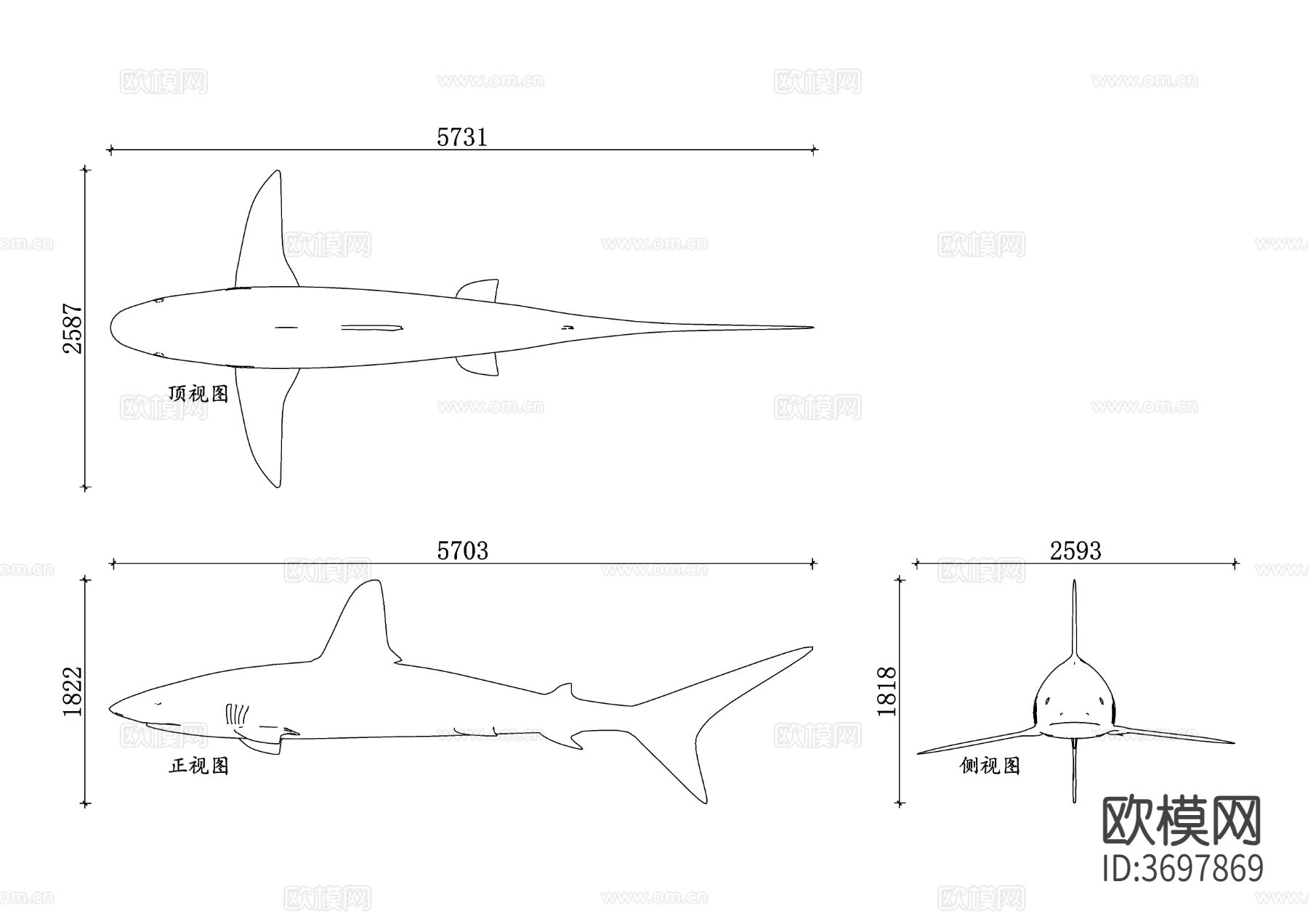 海洋生物鲨鱼设计三视图