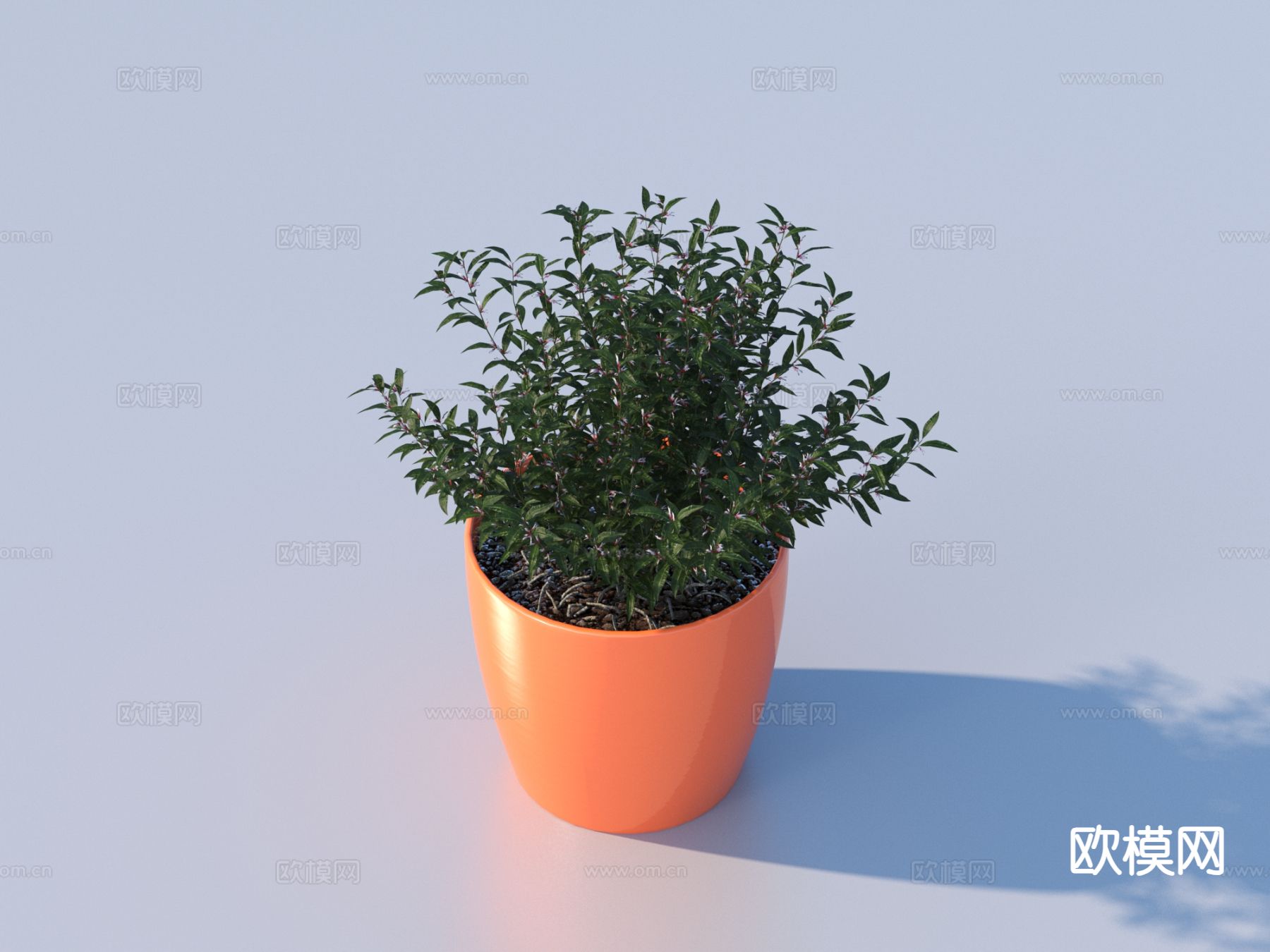 花盆 盆栽 绿植 植物3d模型