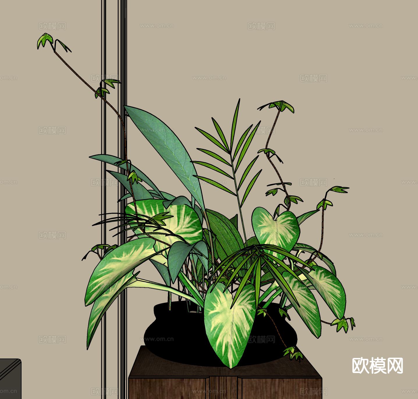 植物盆栽 绿植su模型