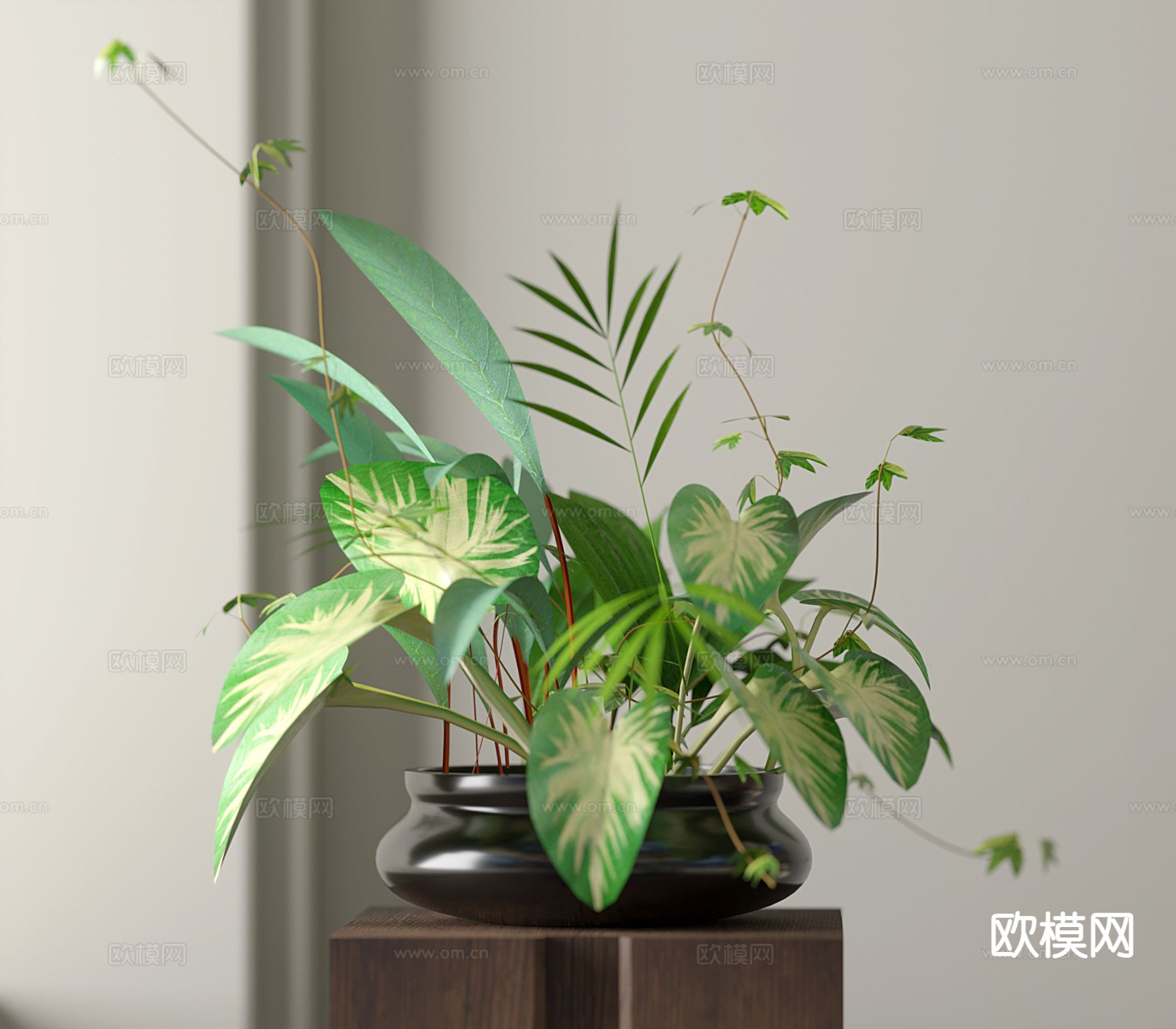 植物盆栽 绿植su模型