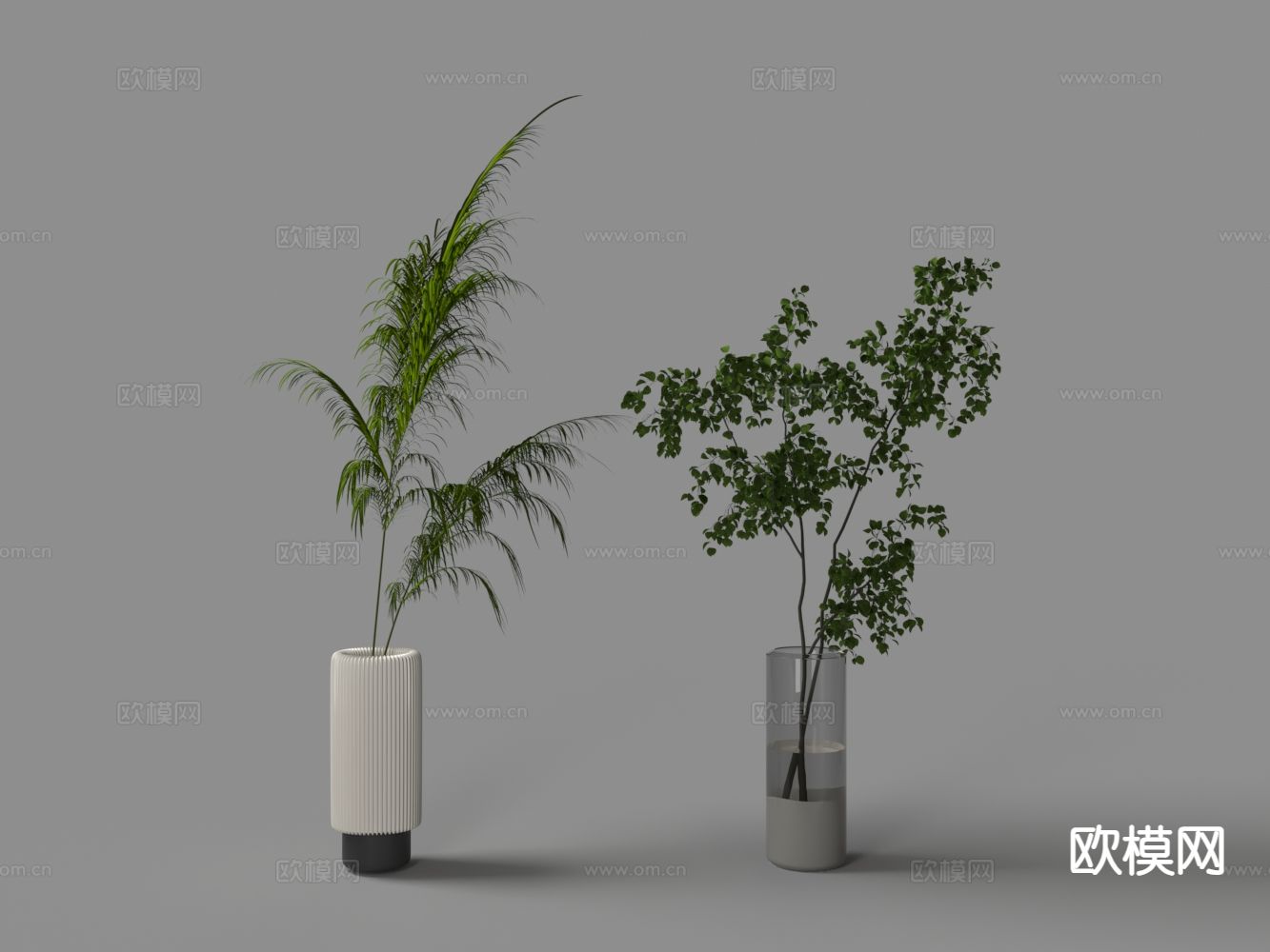 花瓶 花艺 水生植物3d模型