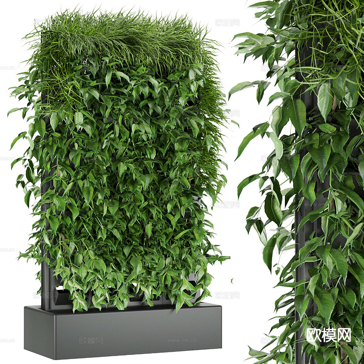 现代植物墙 绿植墙3d模型