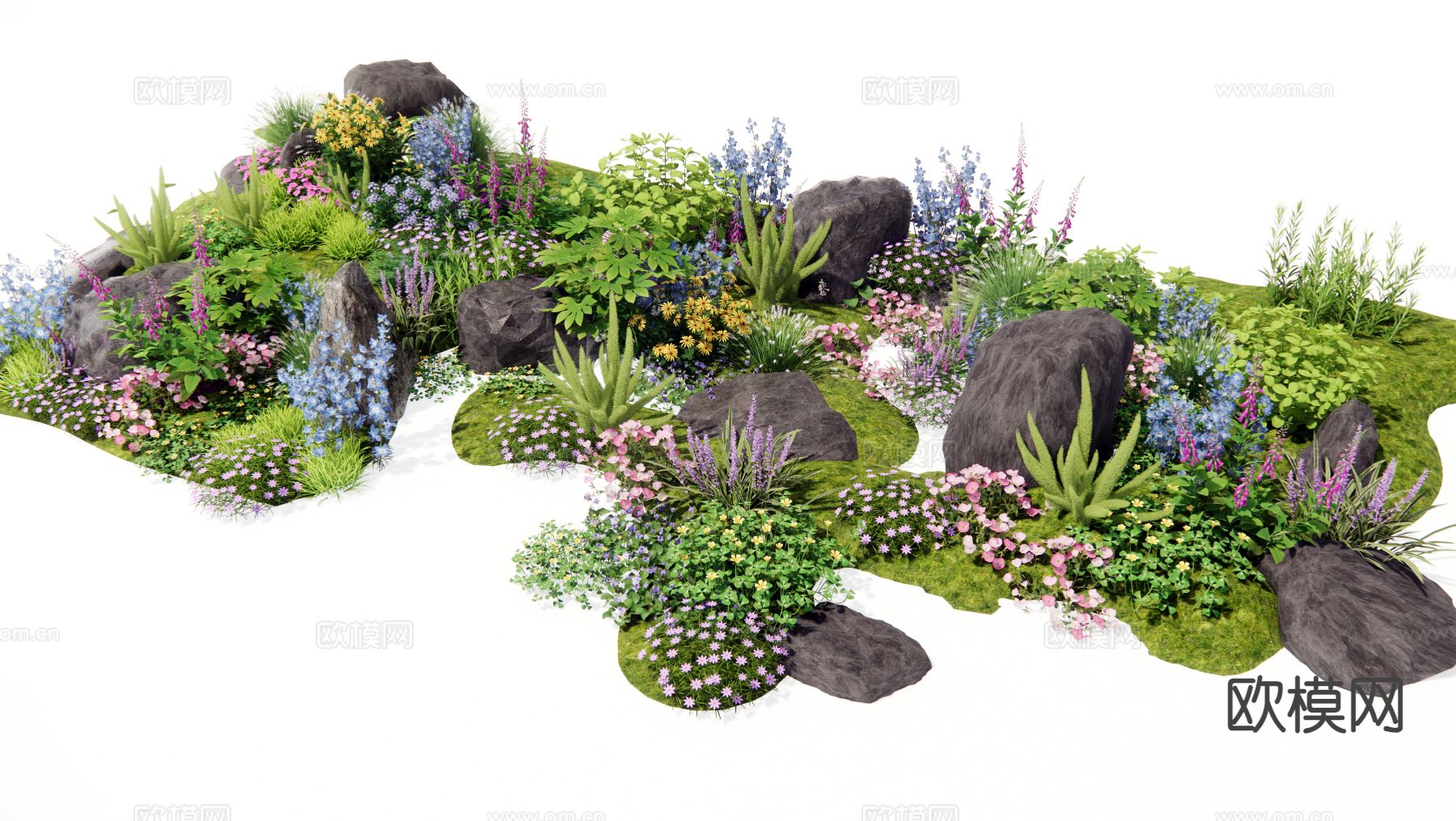 花草植物 花镜 花境组团 天门冬3d模型下载