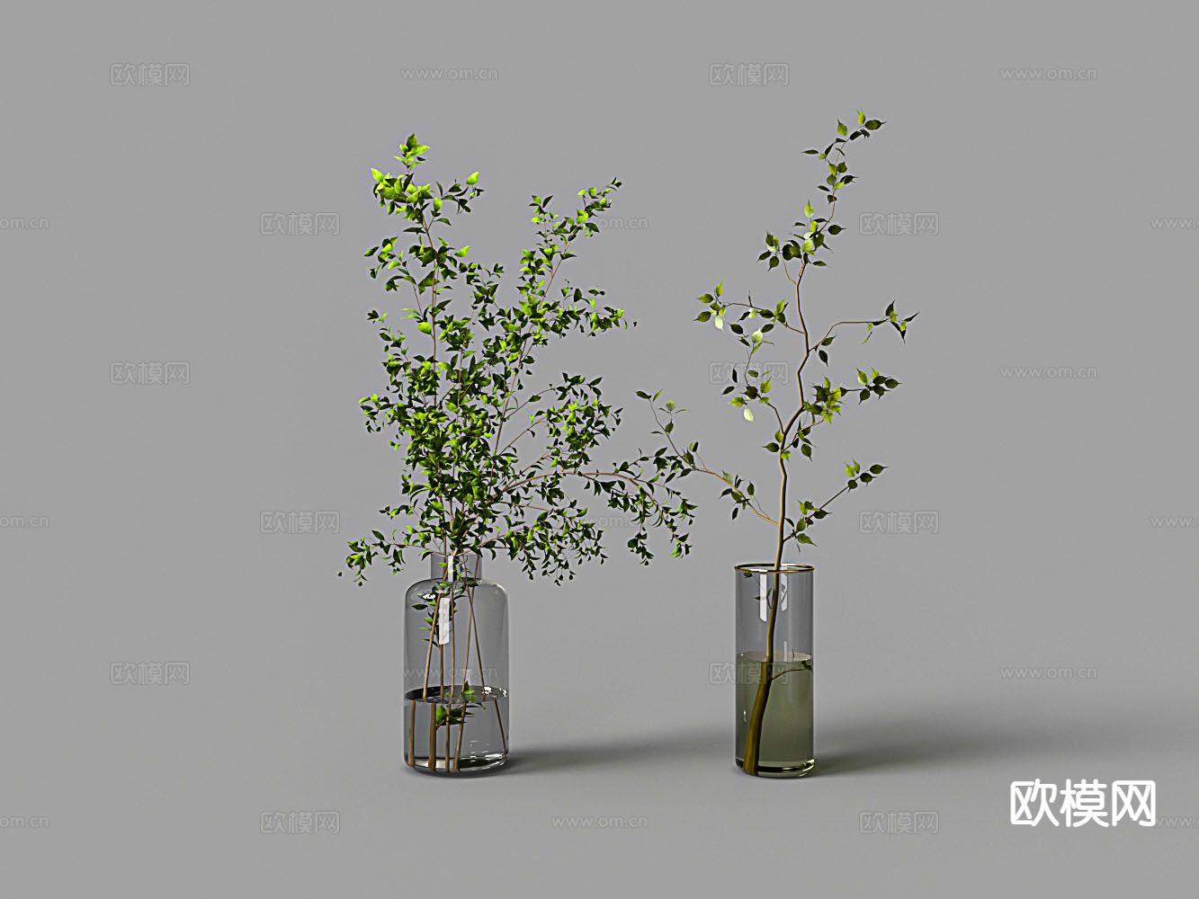 水培绿植 花瓶 水生植物3d模型