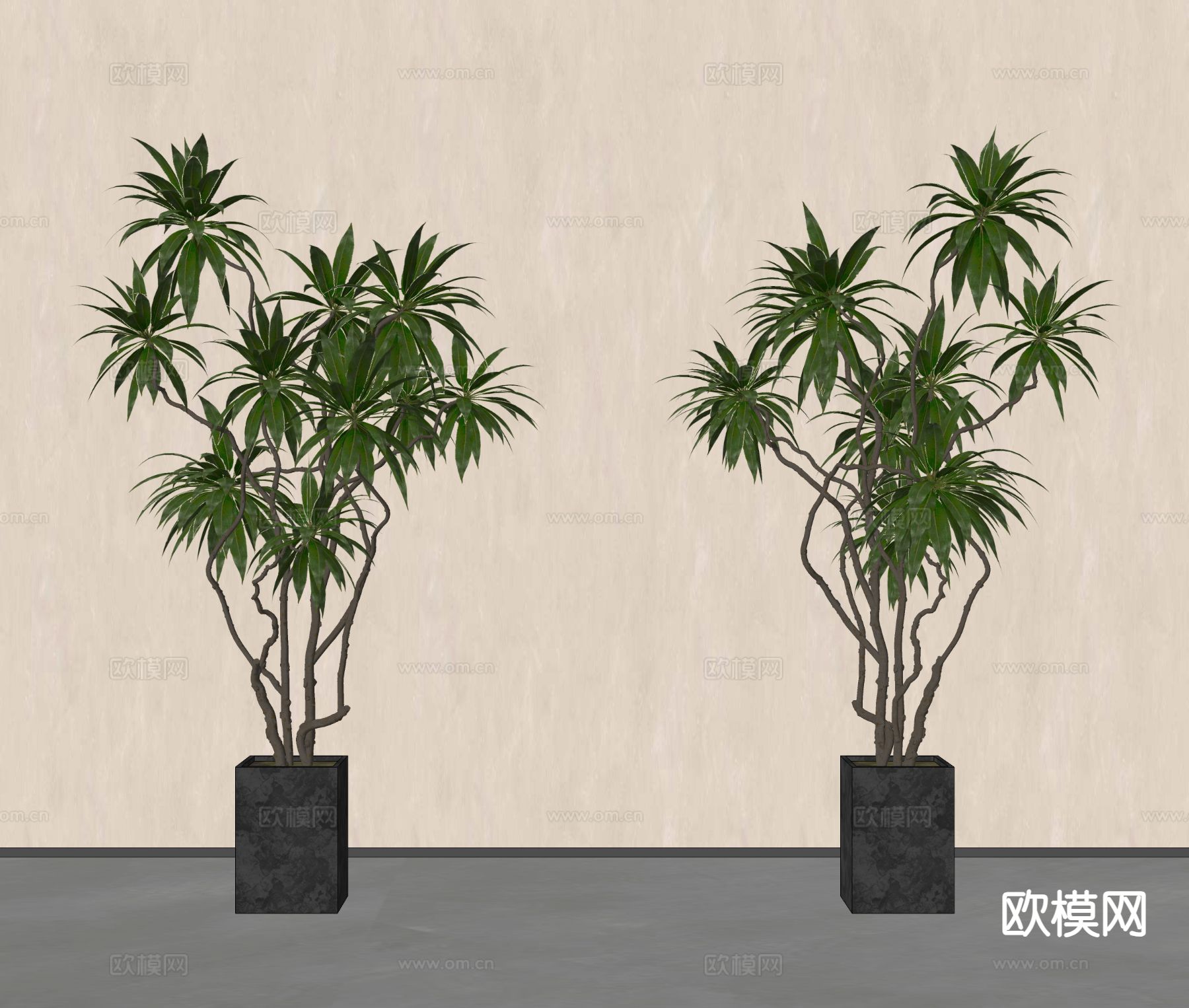 盆栽 绿植盆栽su模型