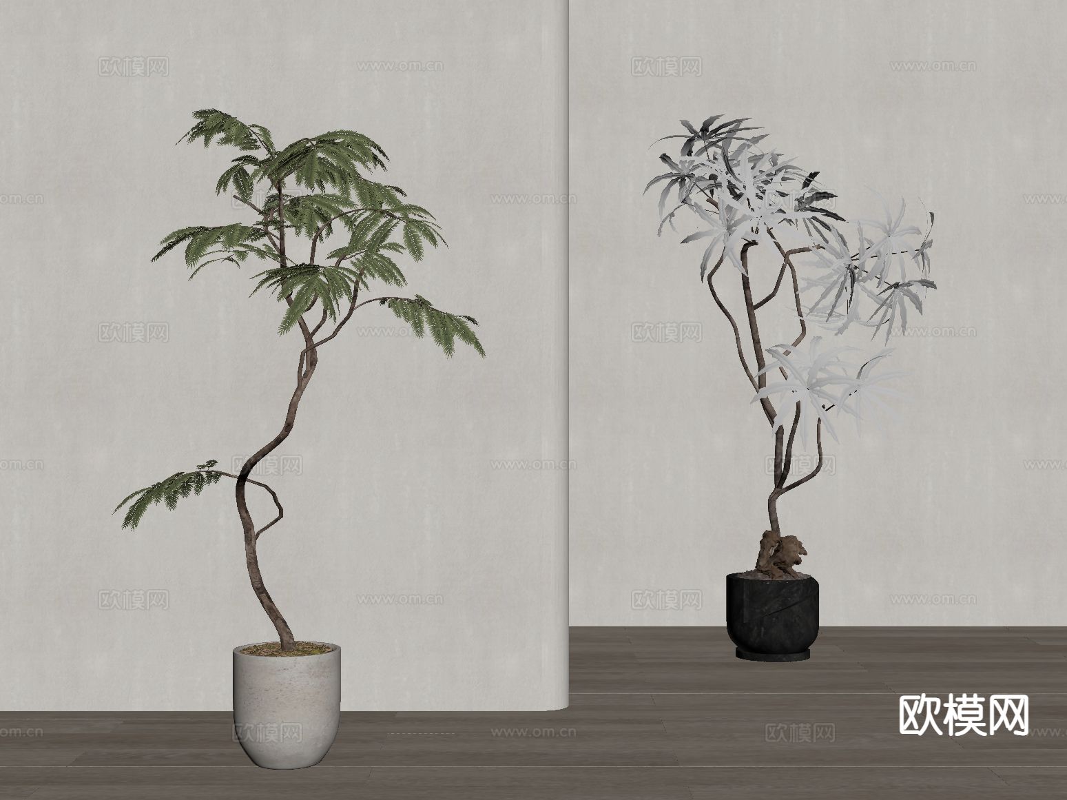 中古风植物盆栽su模型下载（渲染图1）