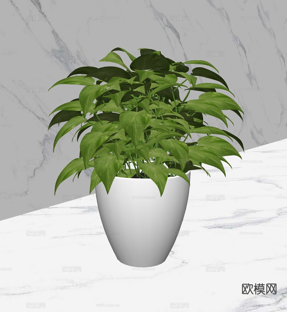 现代植物盆栽 绿萝su模型