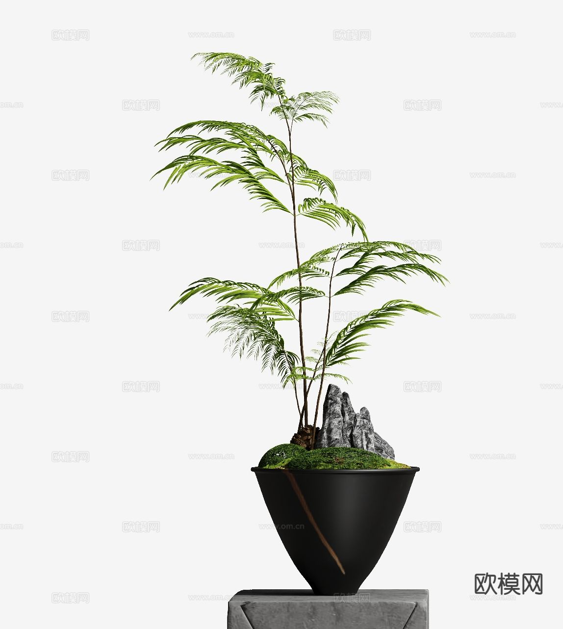 现代盆栽 植物小景 花盆su模型