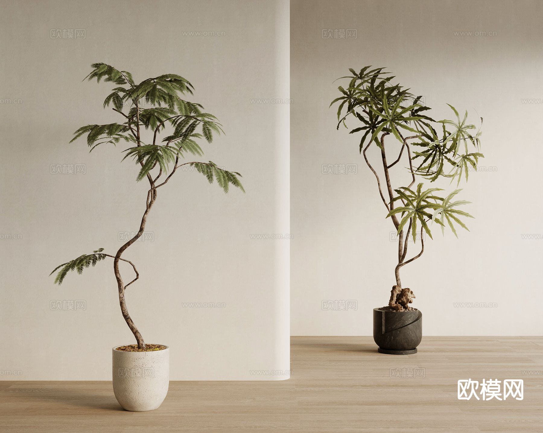 中古风植物盆栽su模型下载（渲染图2）