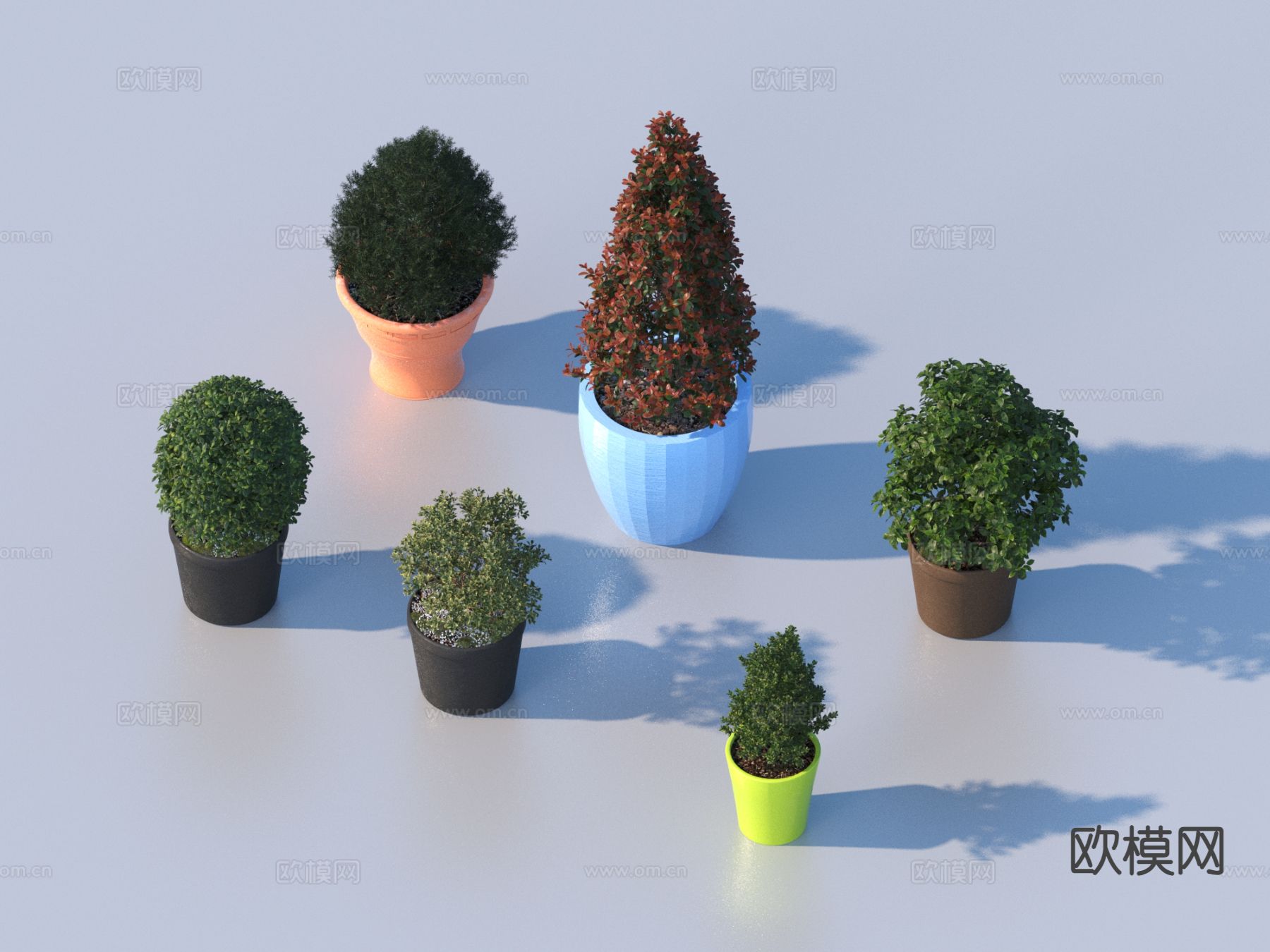 花盆 盆栽 绿植 植物3d模型