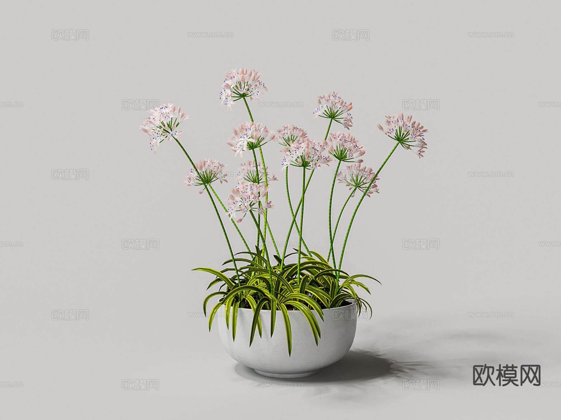 盆栽 盆景 花盆3d模型