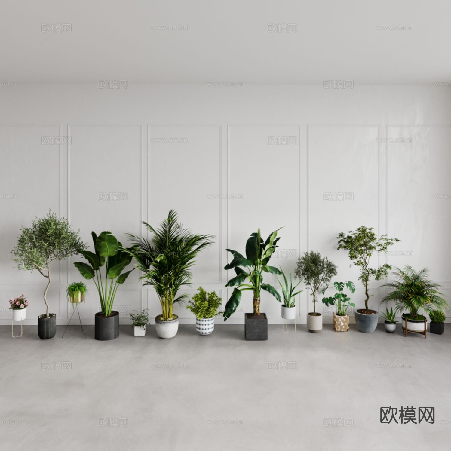 植物盆栽 铁树 滴水观音 龟背竹 虎皮兰3d模型