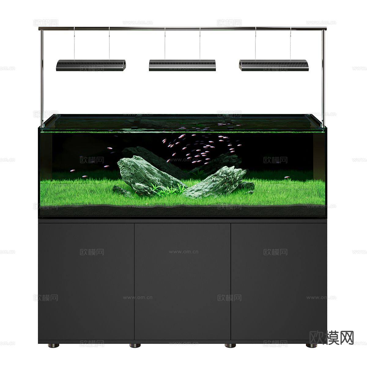 生态鱼缸 水族3d模型