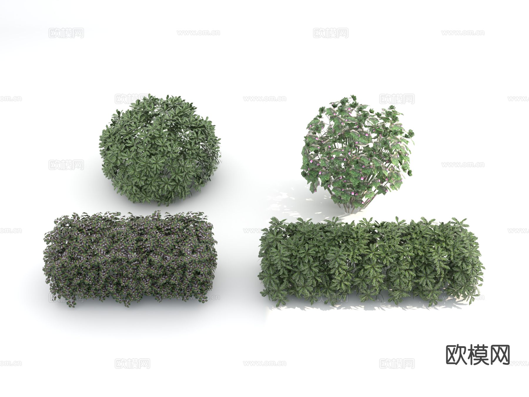 植物绿篱 造型灌木3d模型