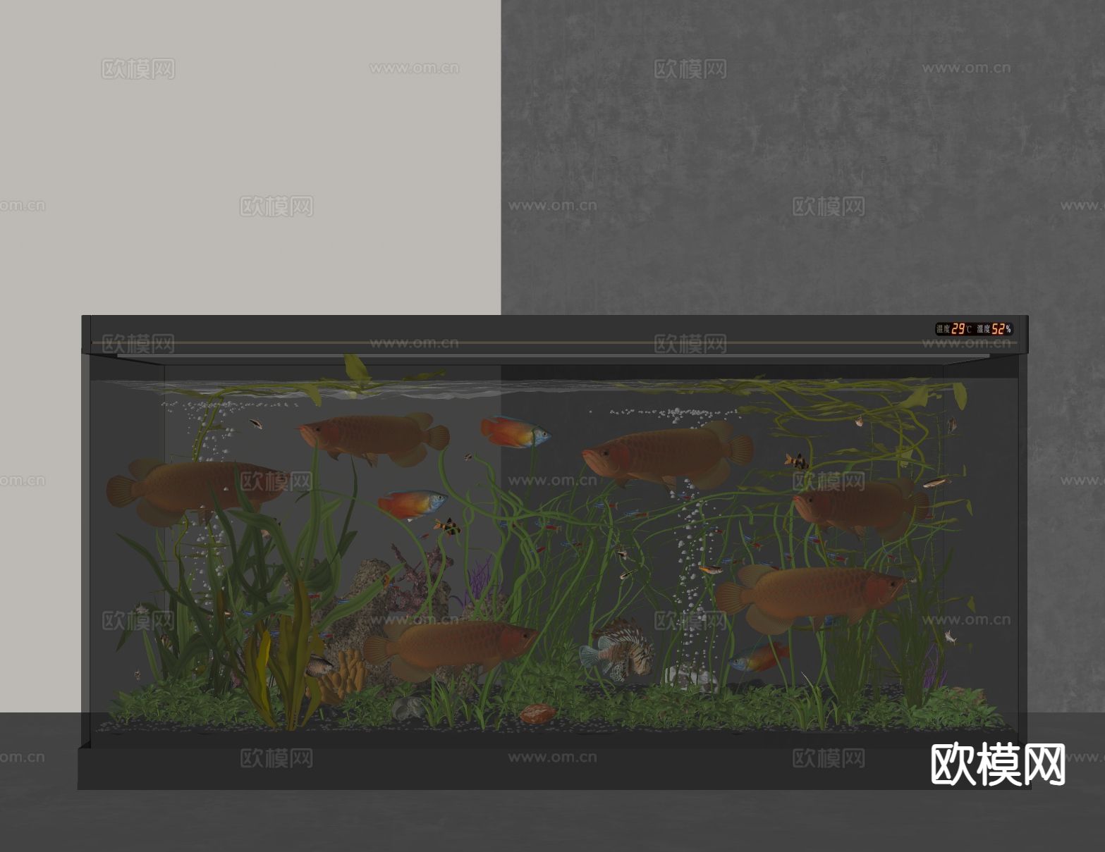 鱼缸 水族箱 观赏鱼su模型