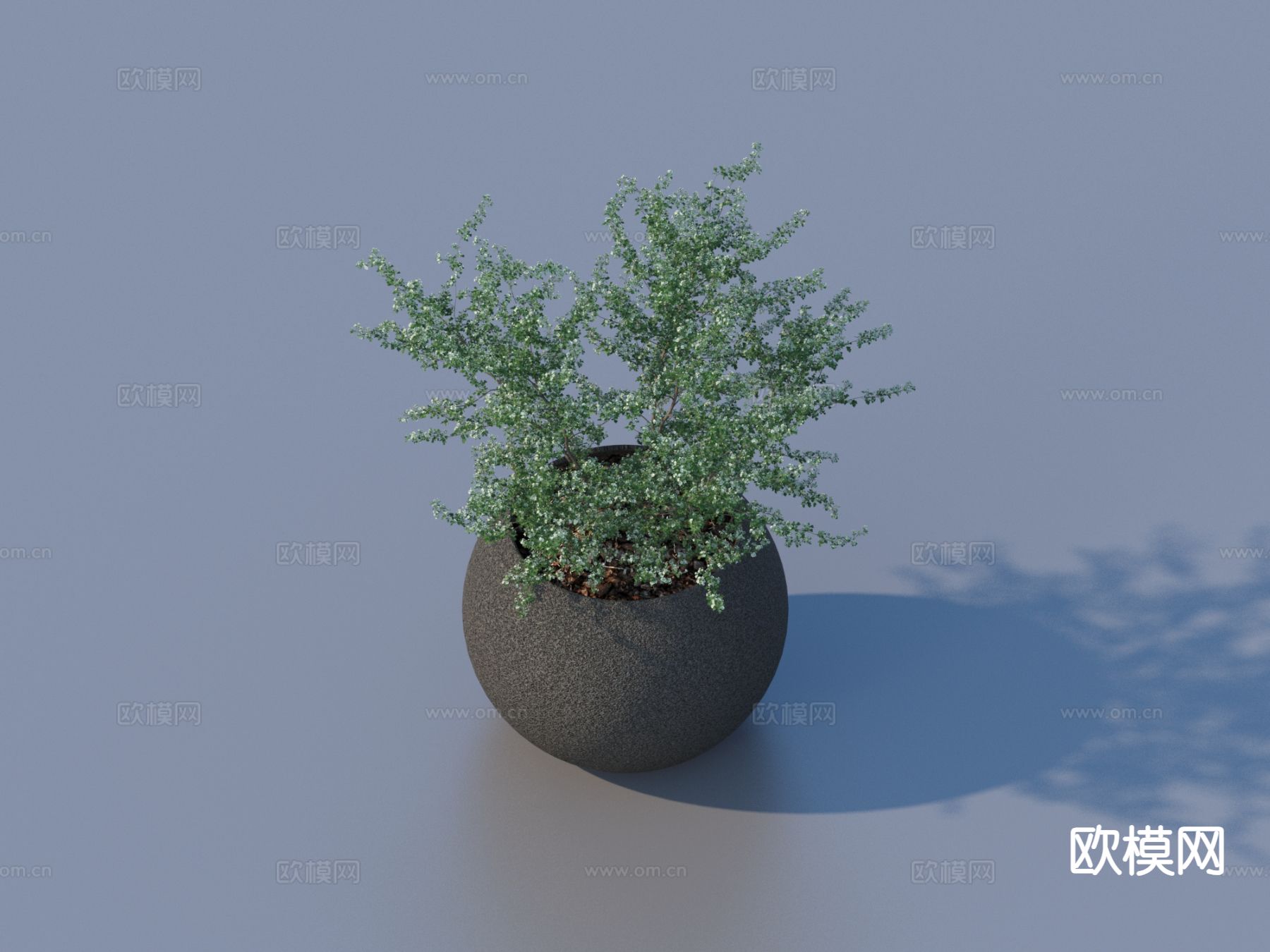 花盆 盆栽 绿植 植物3d模型下载
