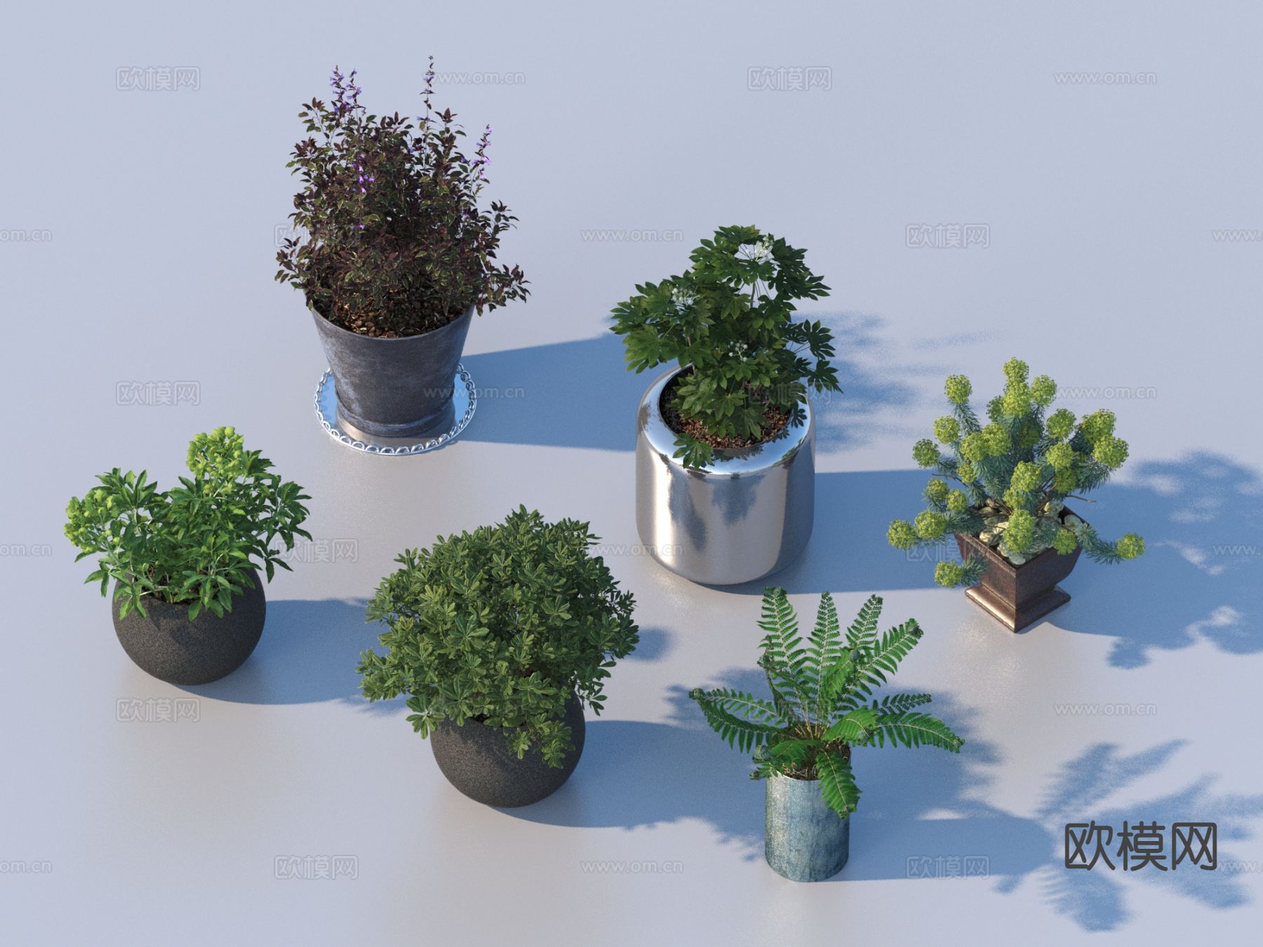 花盆 盆栽 绿植 植物3d模型下载