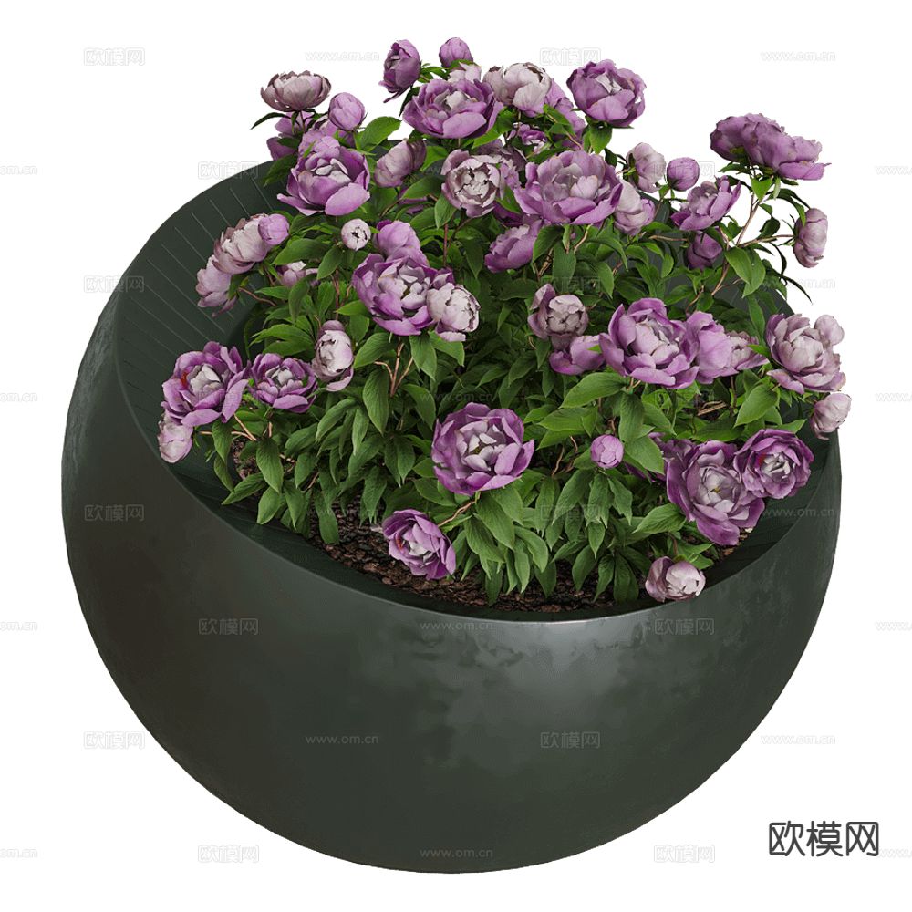 现代盆栽 盆景 花盆3d模型