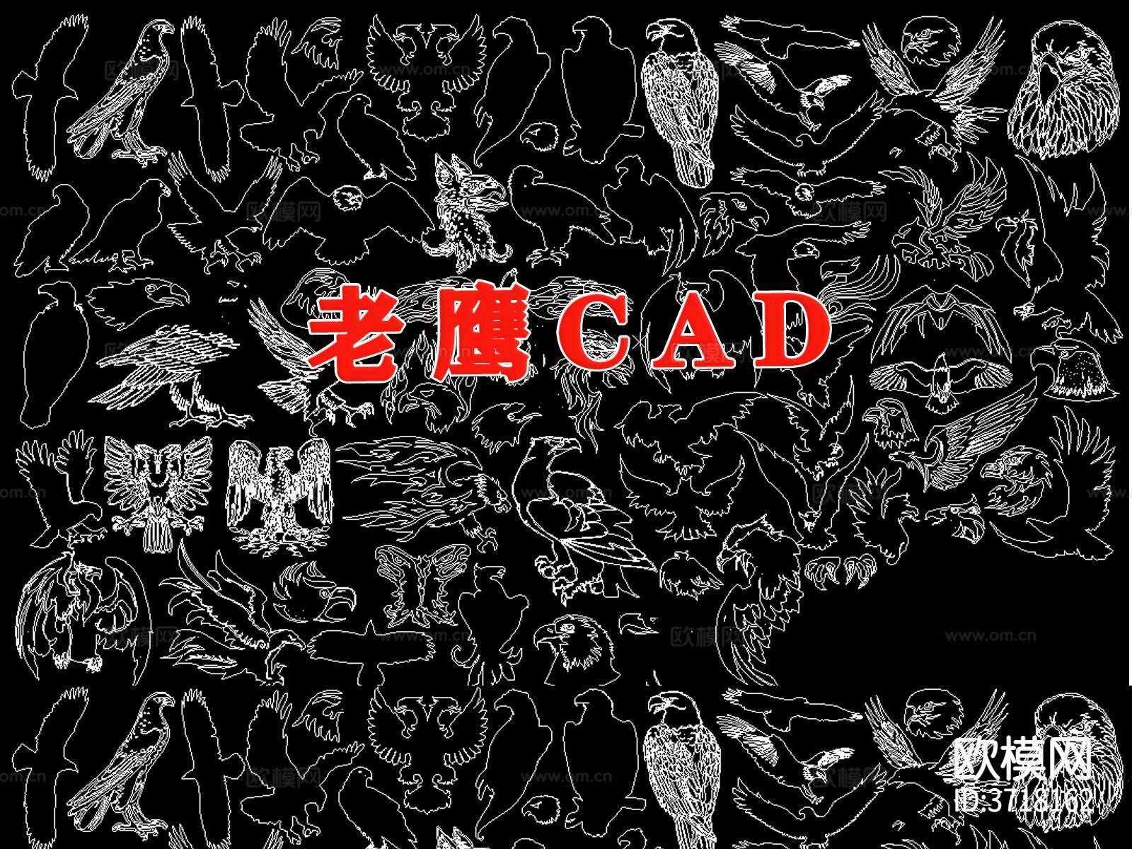 动物鸟类老鹰cad图库