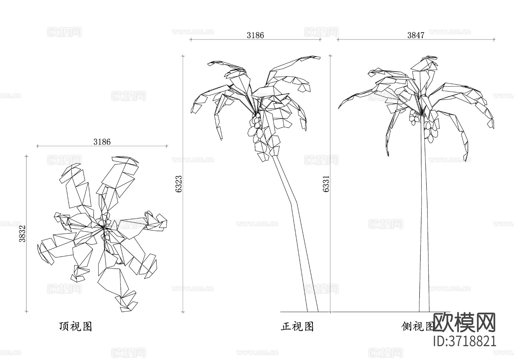 椰子树三视图