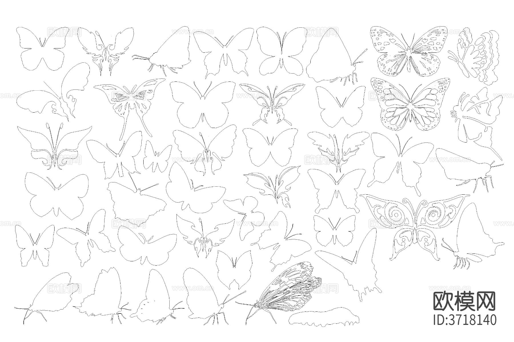 昆虫蝴蝶cad图库下载（渲染图2）
