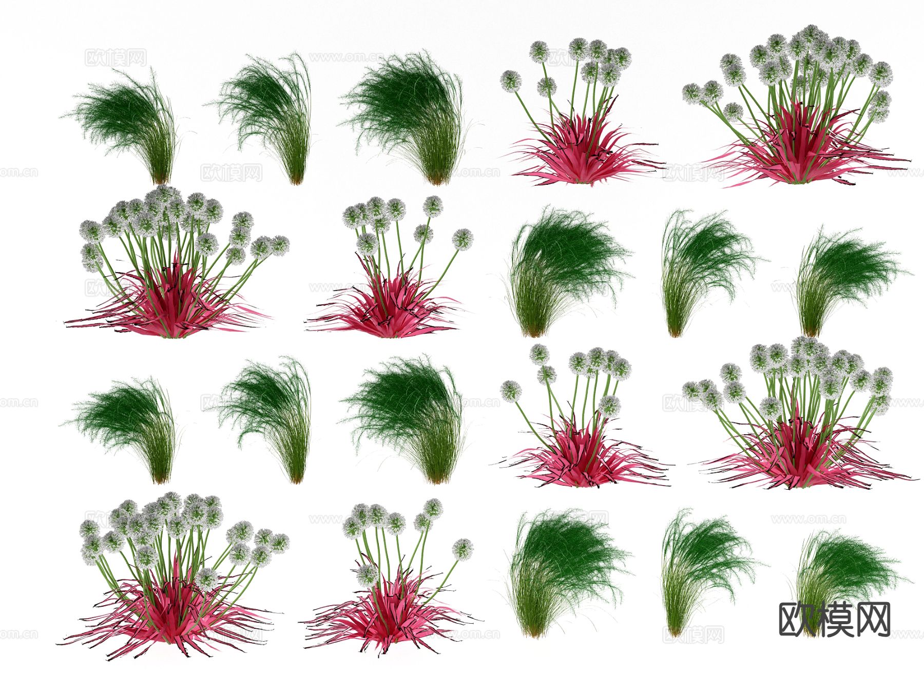 花草 户外植物3d模型