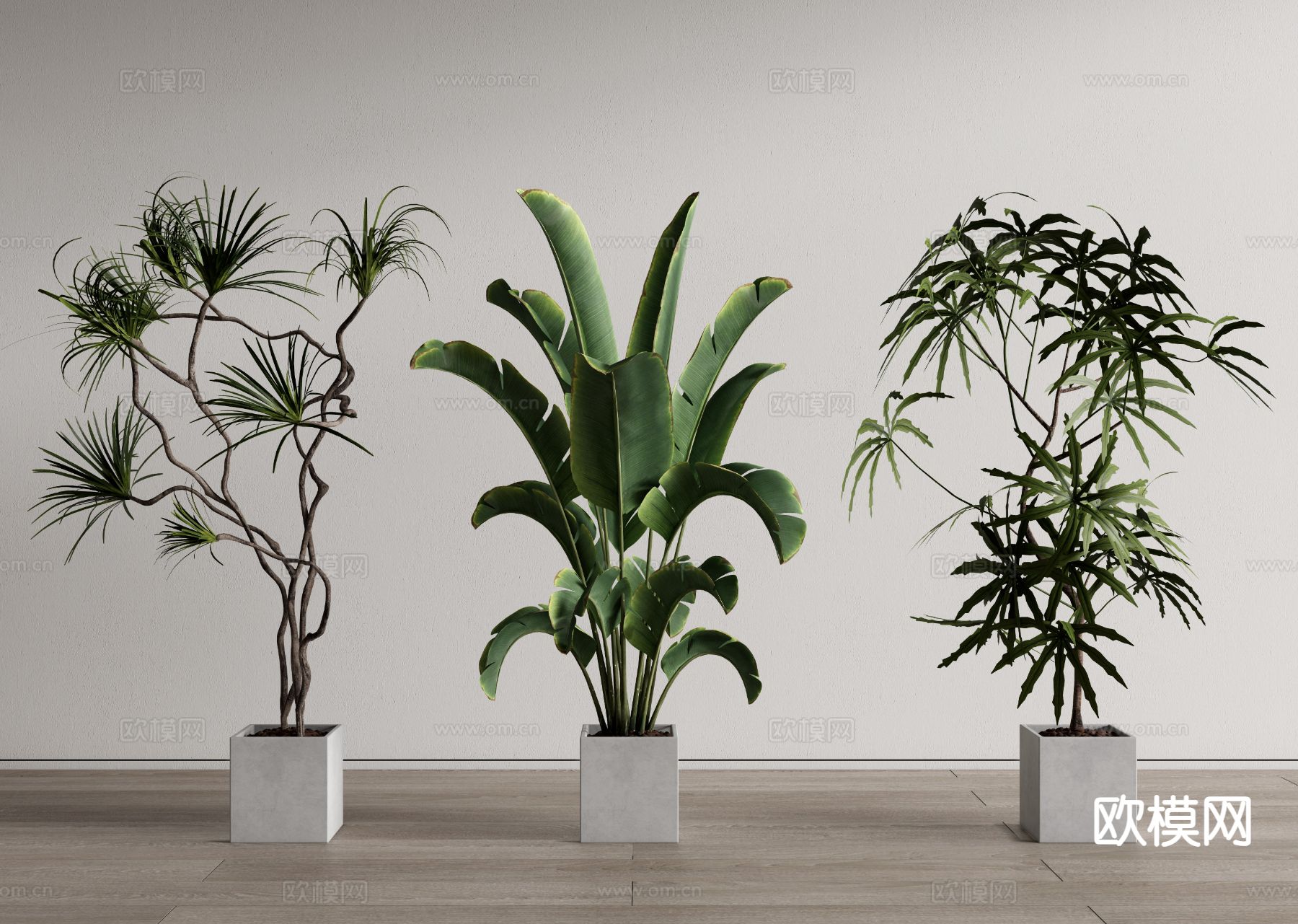 绿植盆栽 植物盆栽 落地植物3d模型