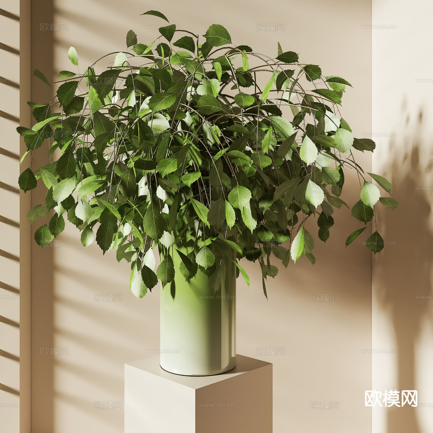 绿植 水培绿植 水生植物3d模型