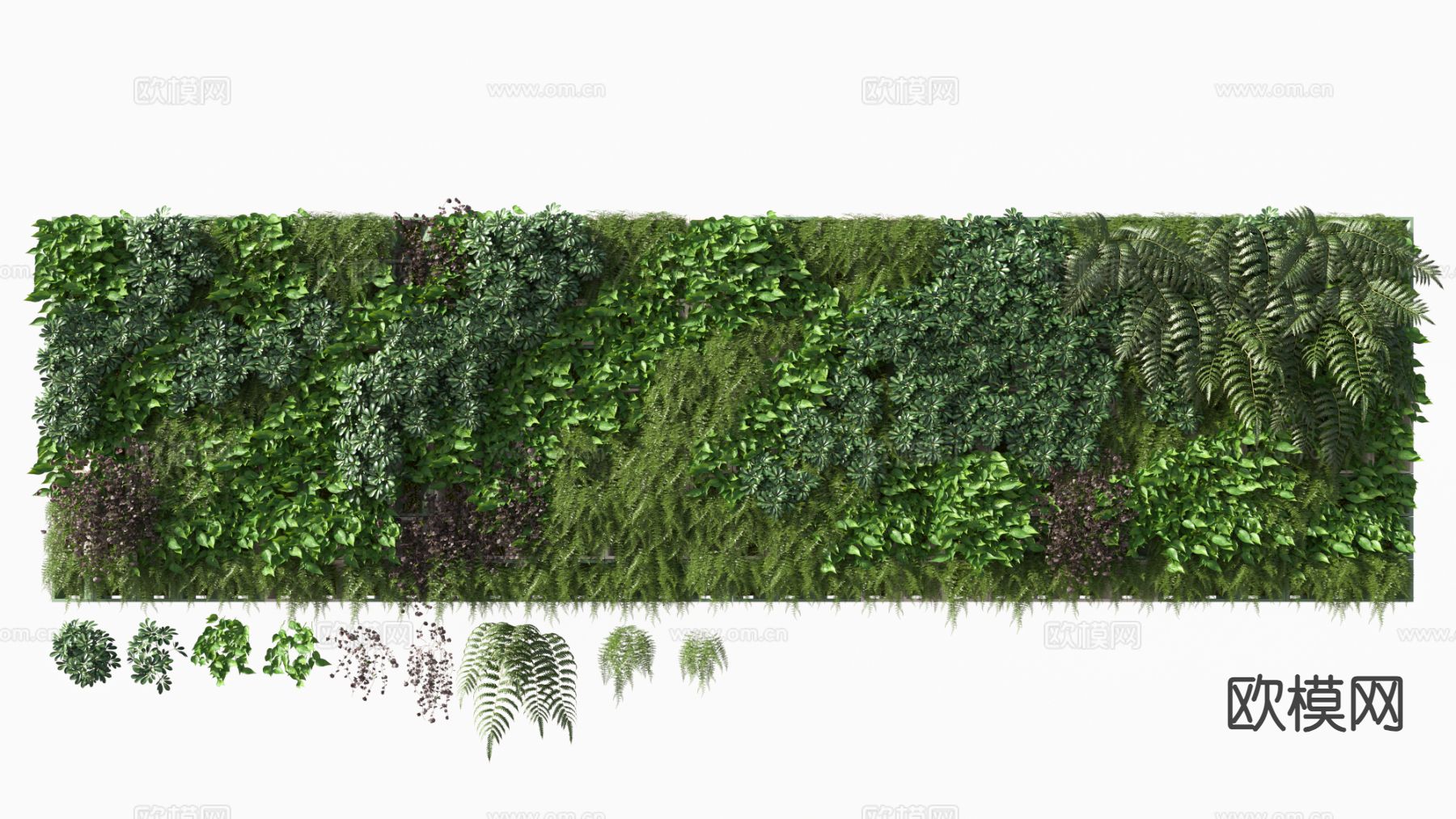 植物墙 绿植墙3d模型