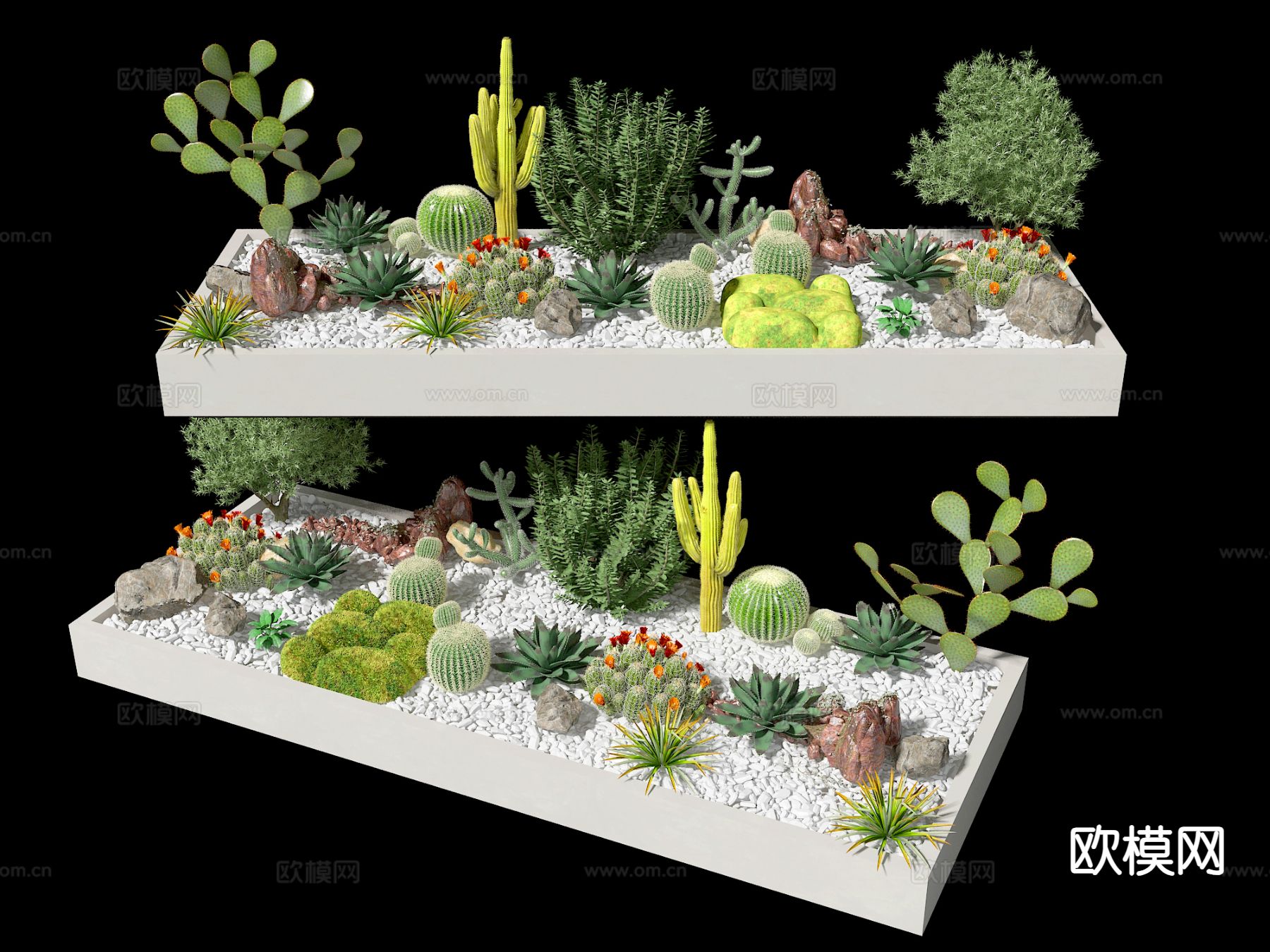 户外花坛 多肉盆栽 多肉植物3d模型