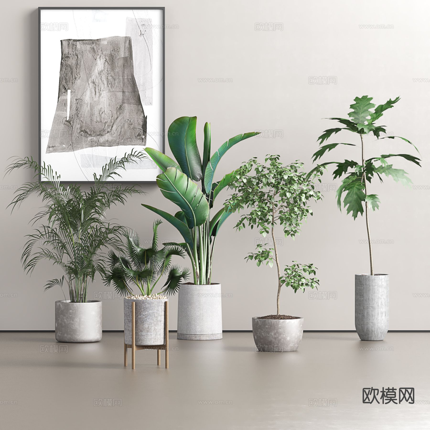 绿植盆栽 芭蕉 龟背竹3d模型