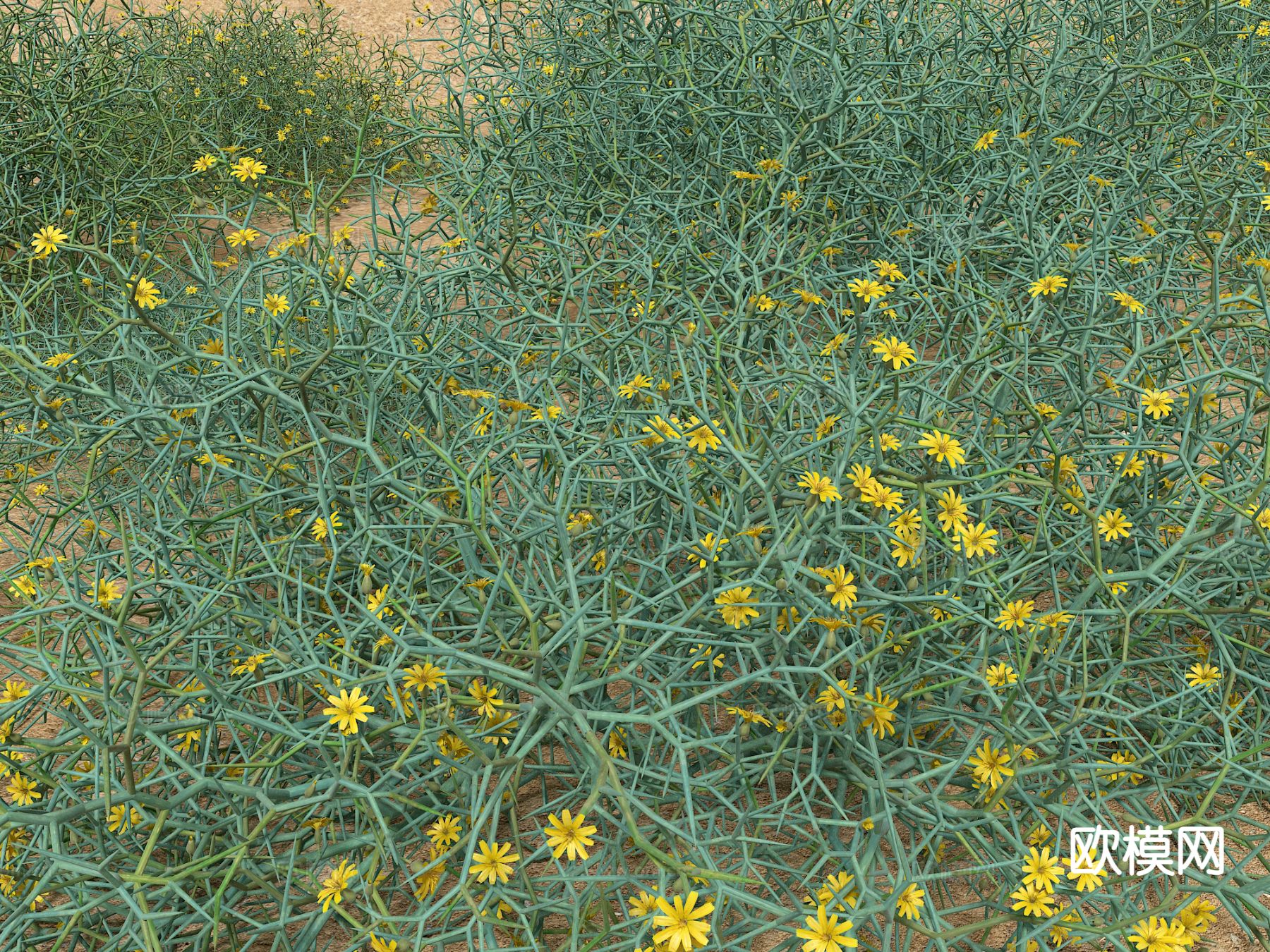 花草 泥土 户外植物3d模型