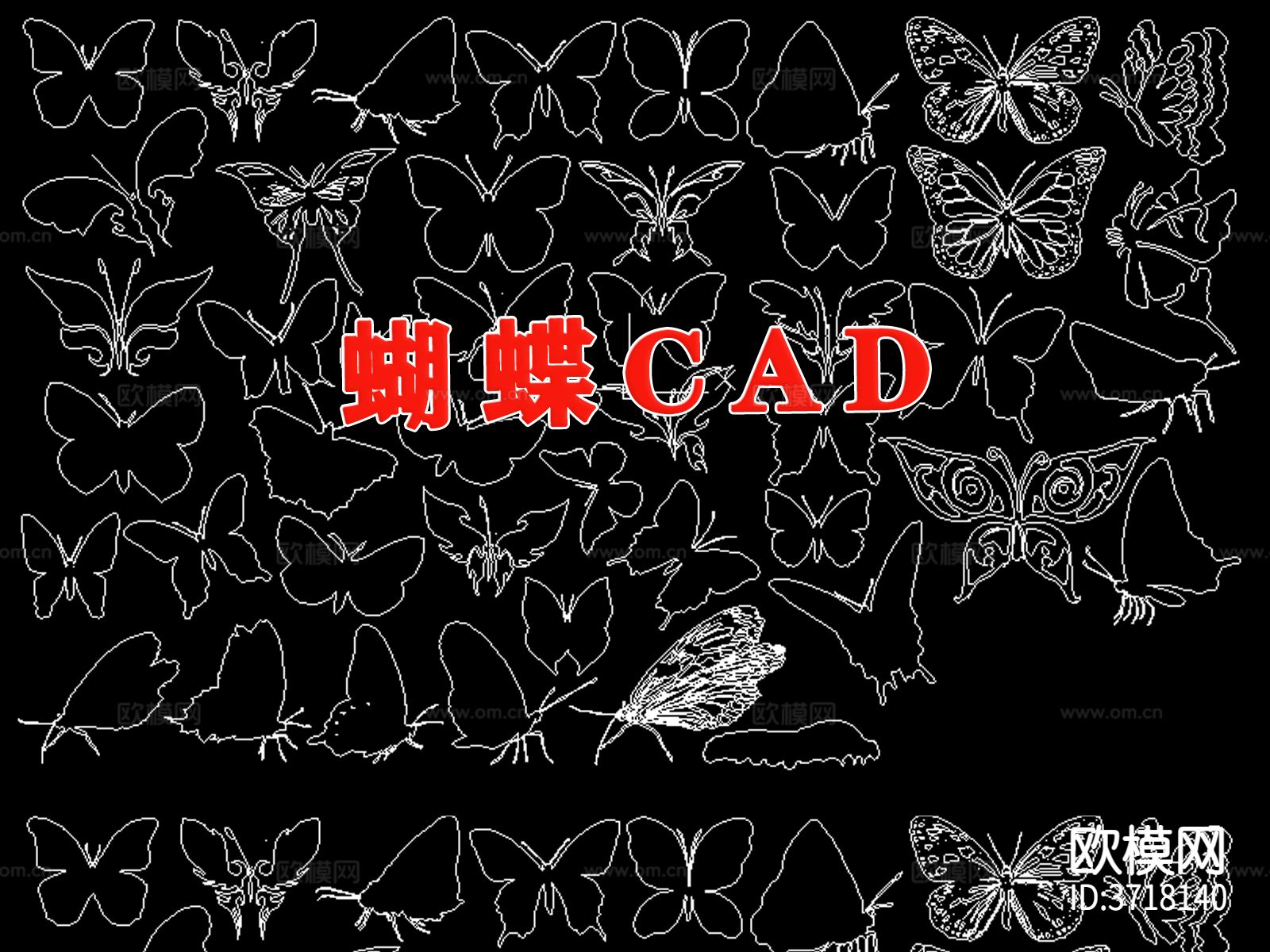 昆虫蝴蝶cad图库下载（渲染图1）