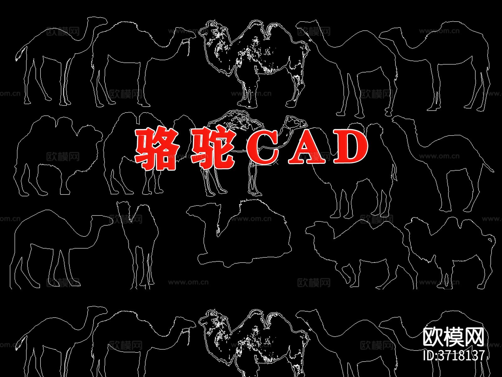 动物骆驼cad图库