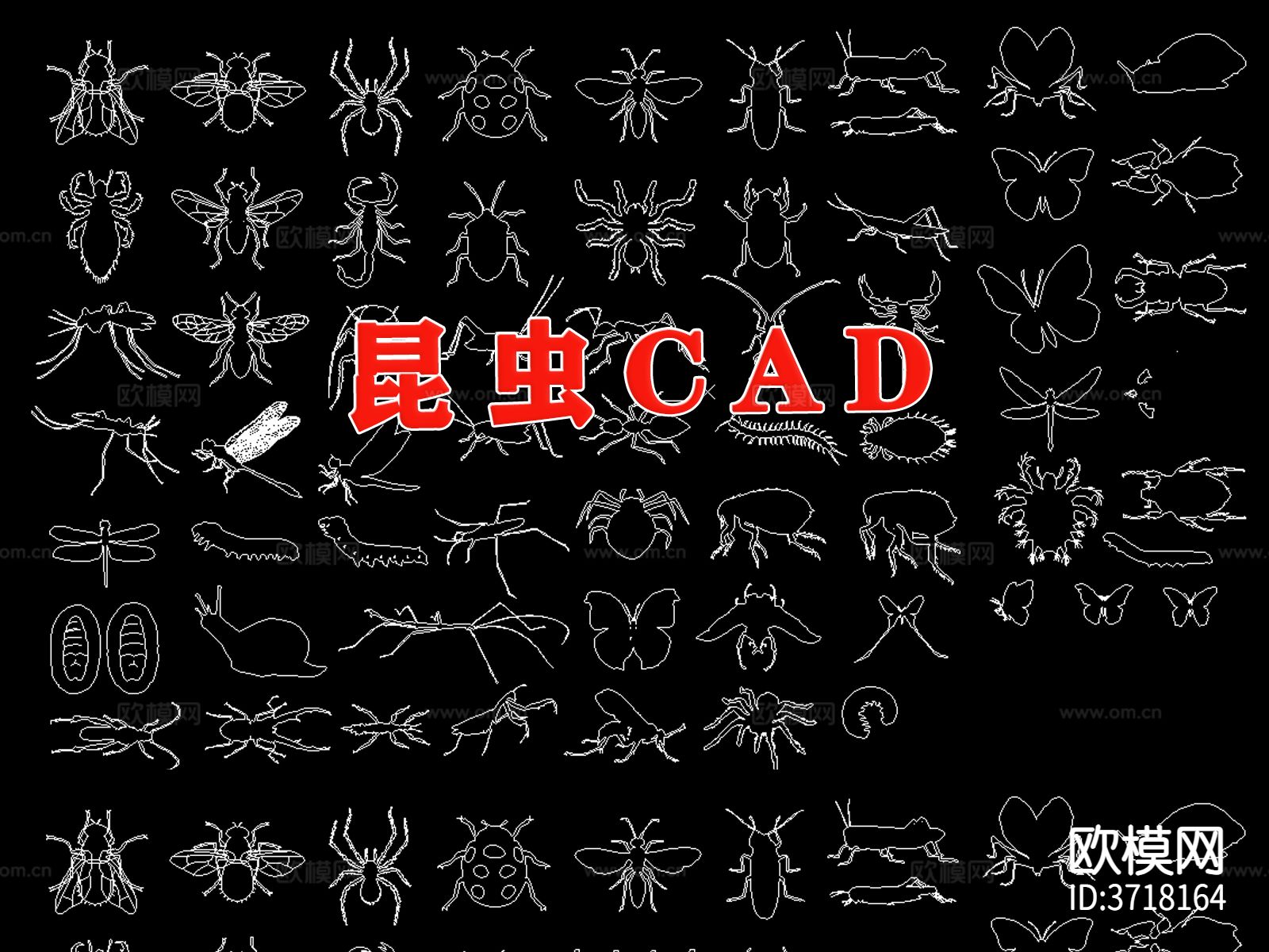 昆虫蝴蝶cad图库下载（渲染图1）