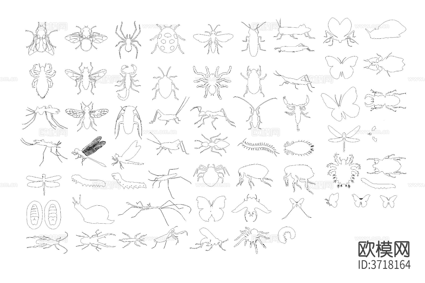 昆虫蝴蝶cad图库下载（渲染图2）