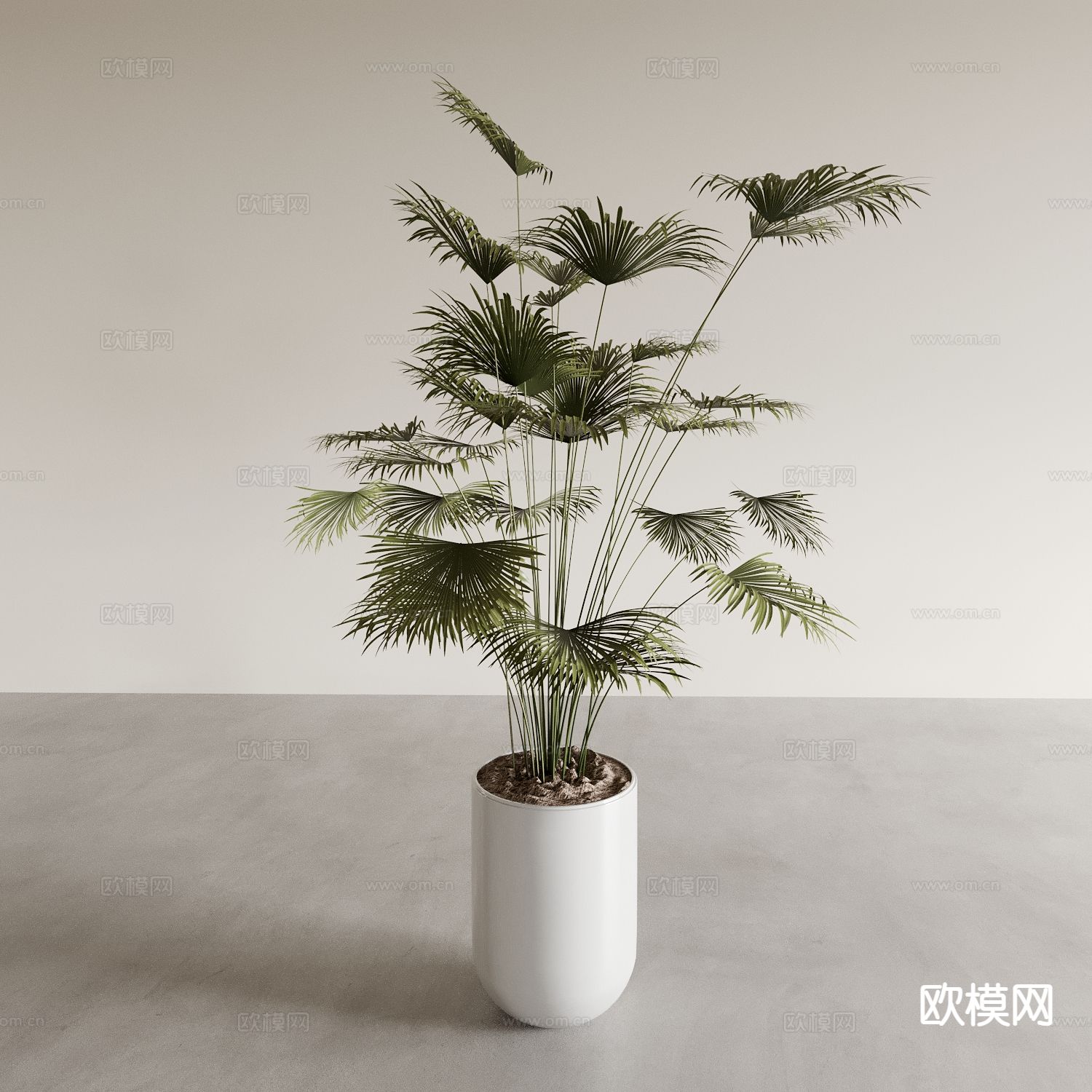 现代盆栽 绿植 植物3d模型