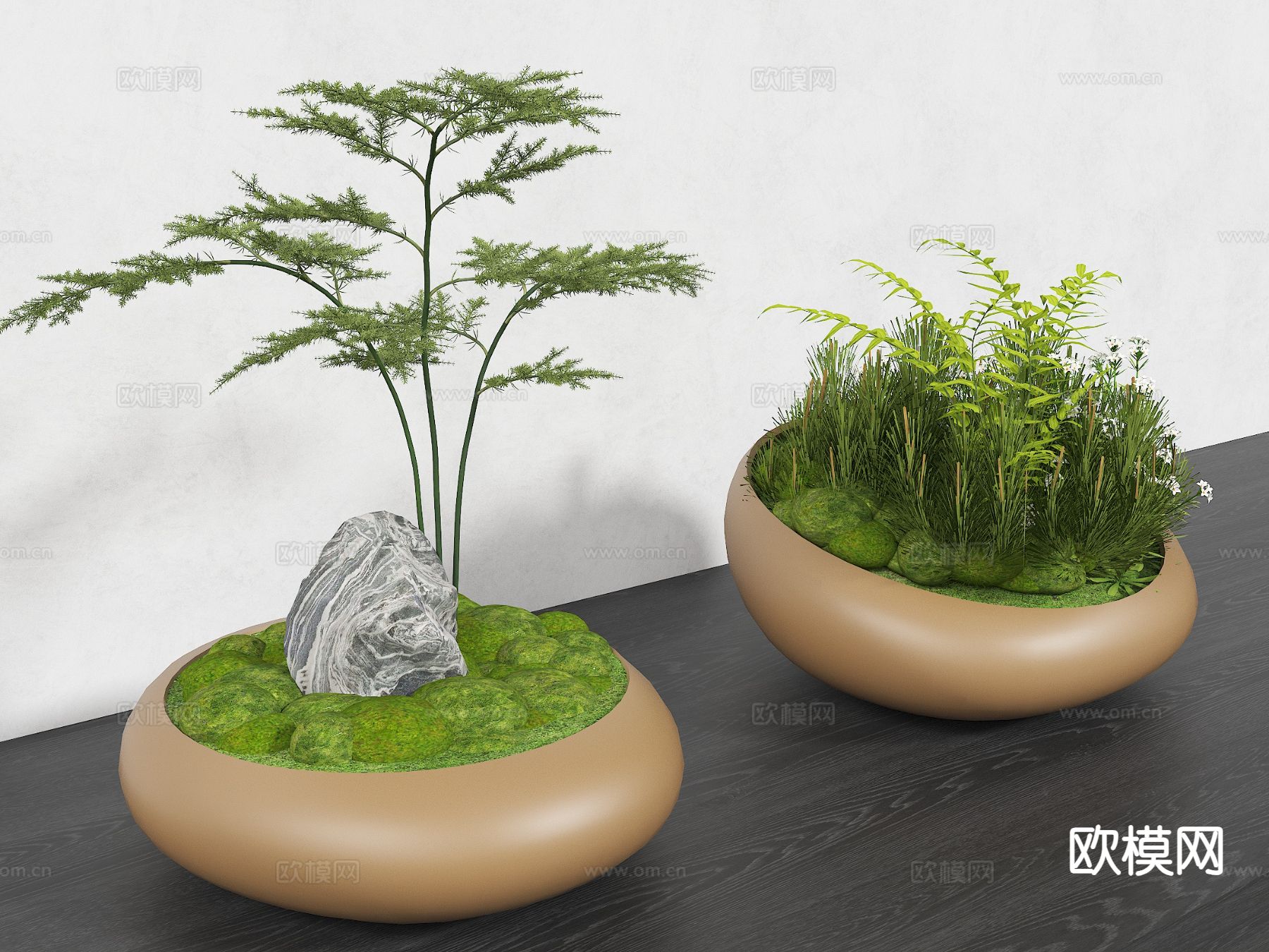 苔藓盆景 蕨类盆景3d模型