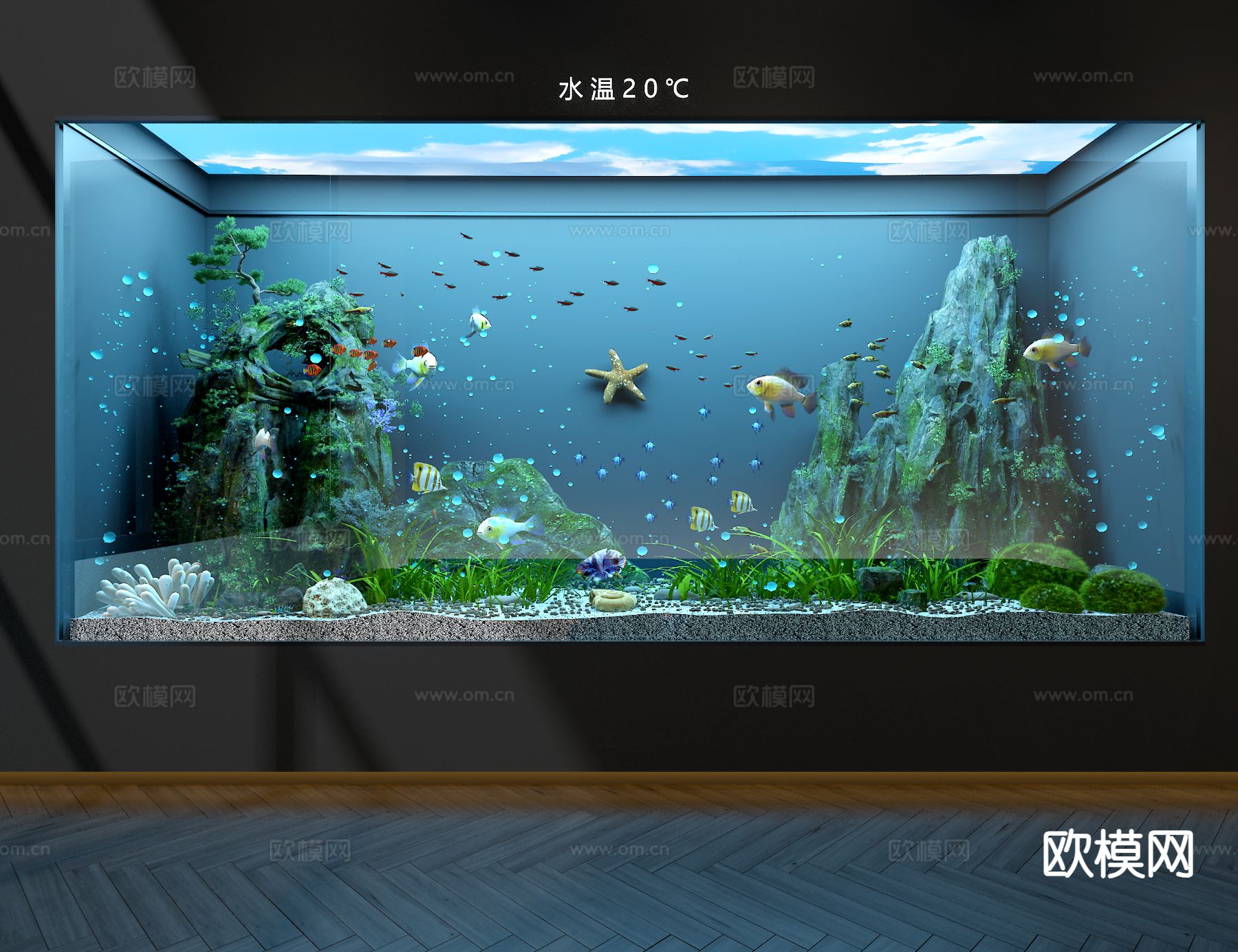 生态鱼缸 水族箱3d模型